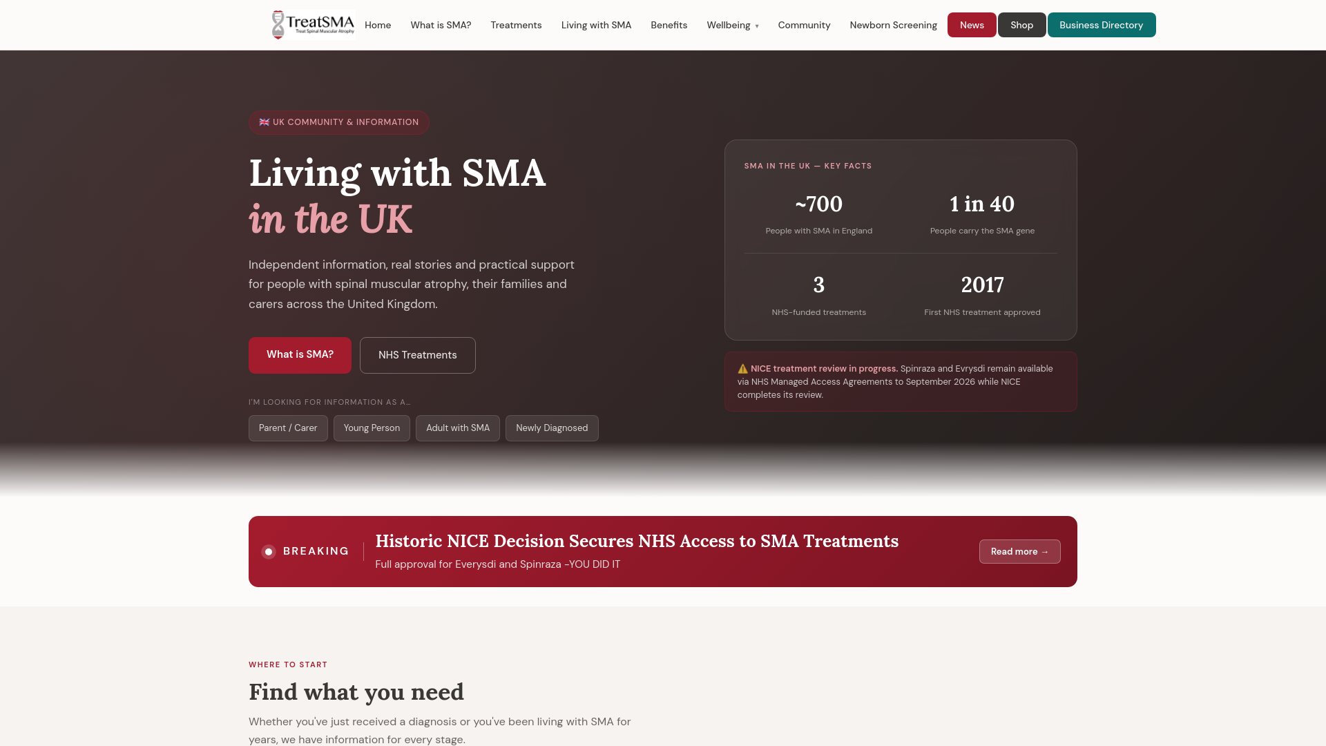 Website screenshot