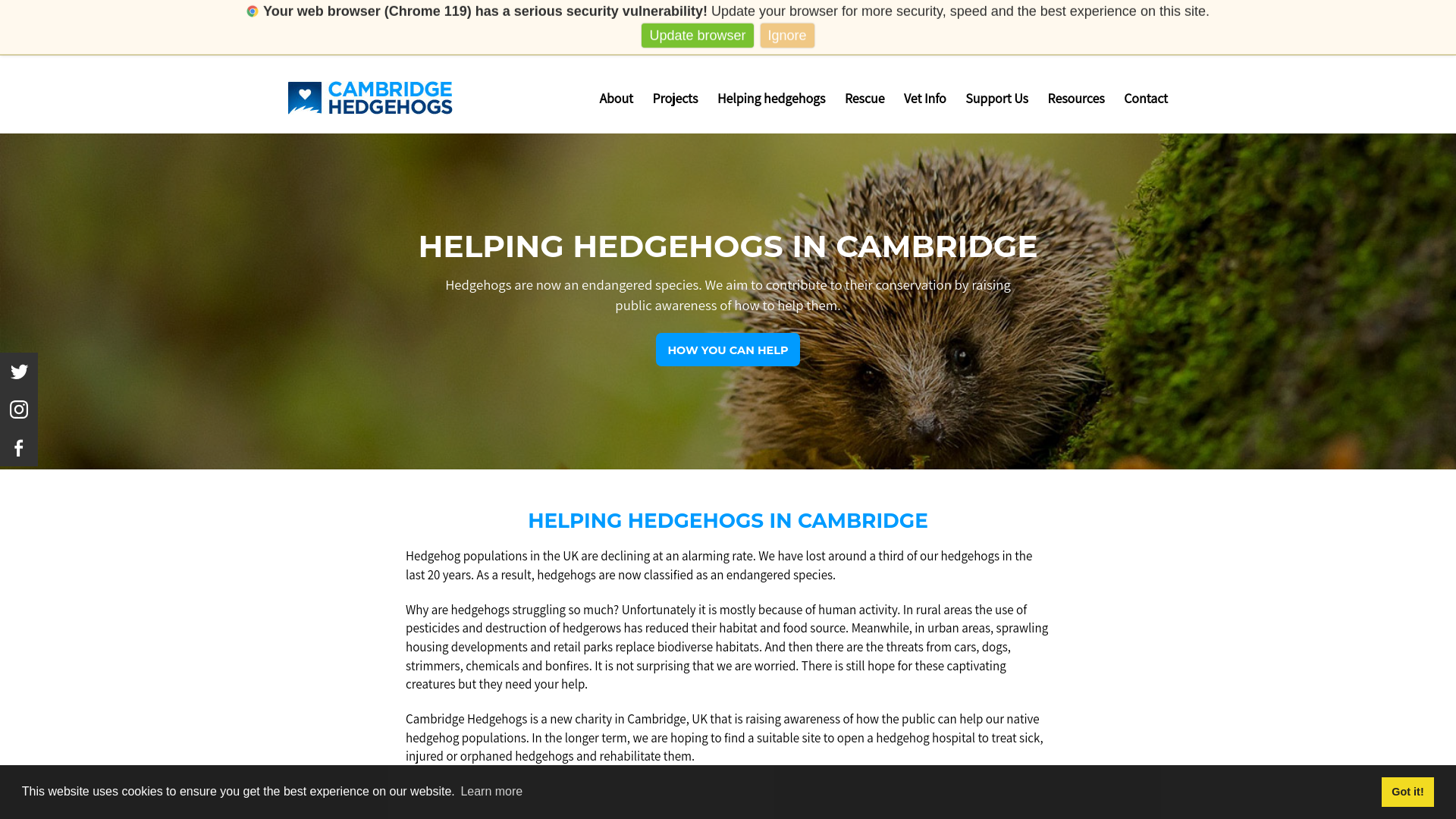 Website screenshot