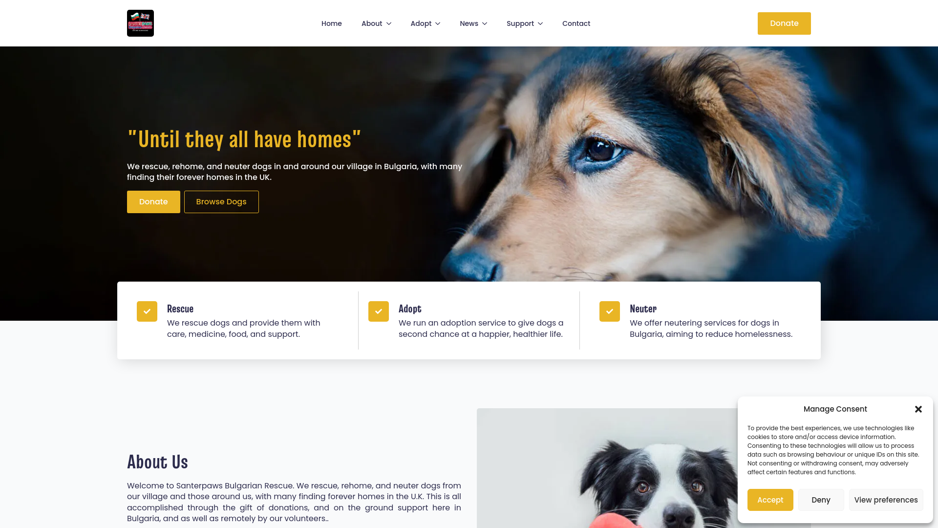 Website screenshot