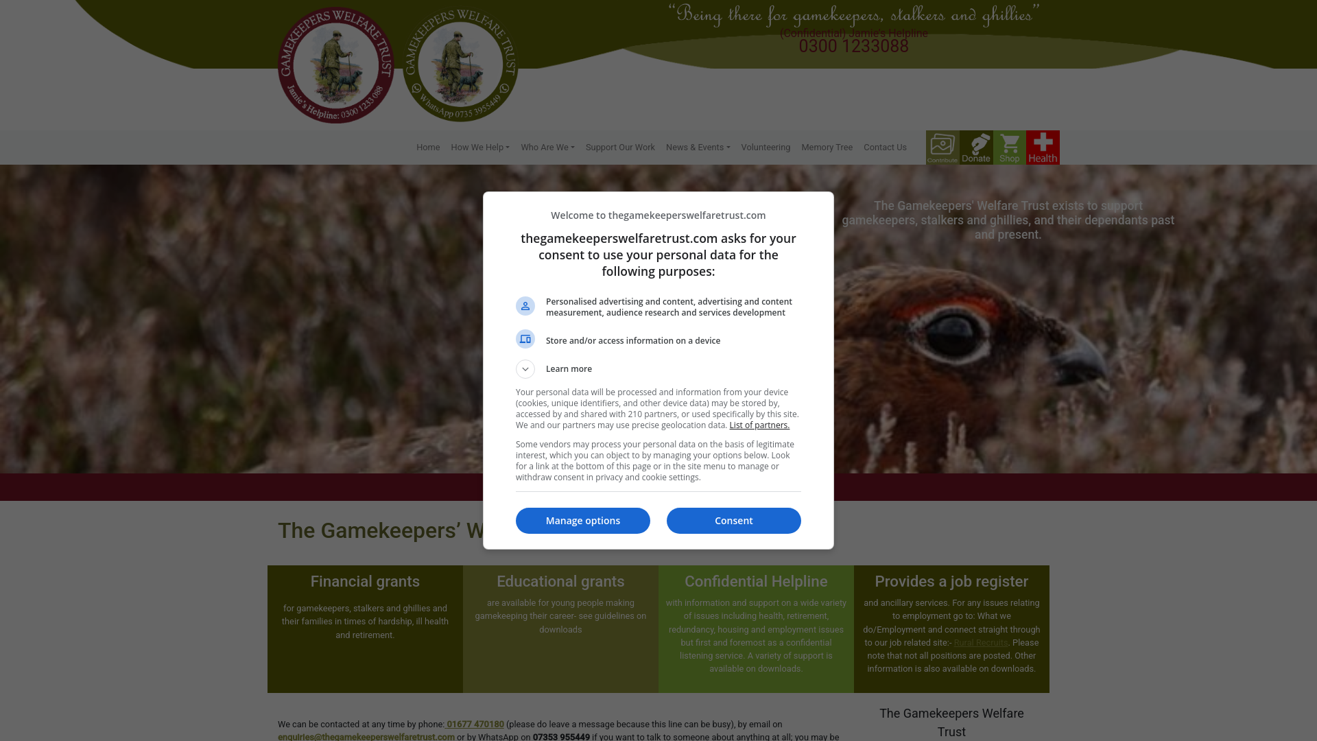 Website screenshot
