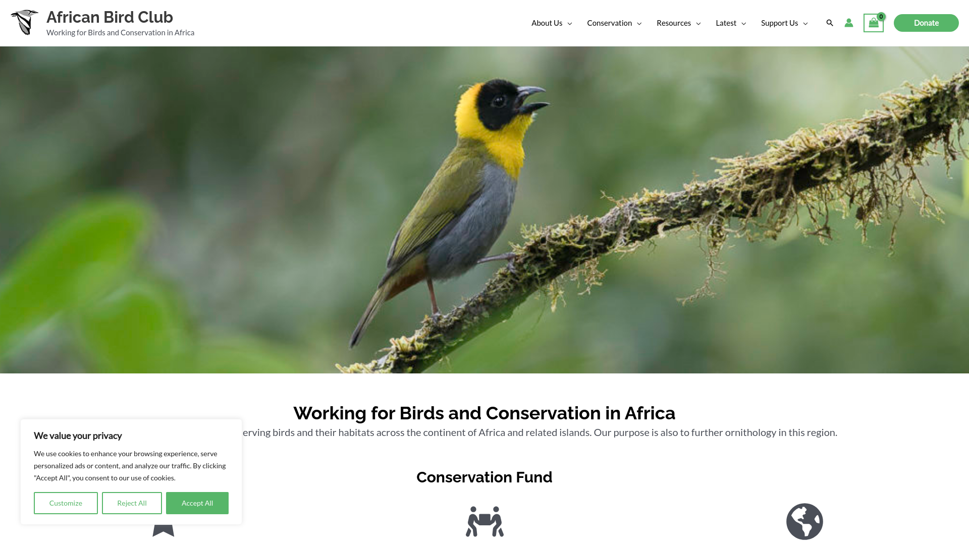 Website screenshot