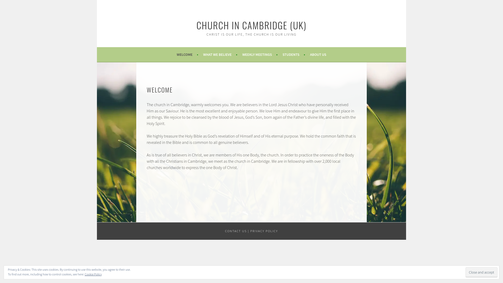 Website screenshot