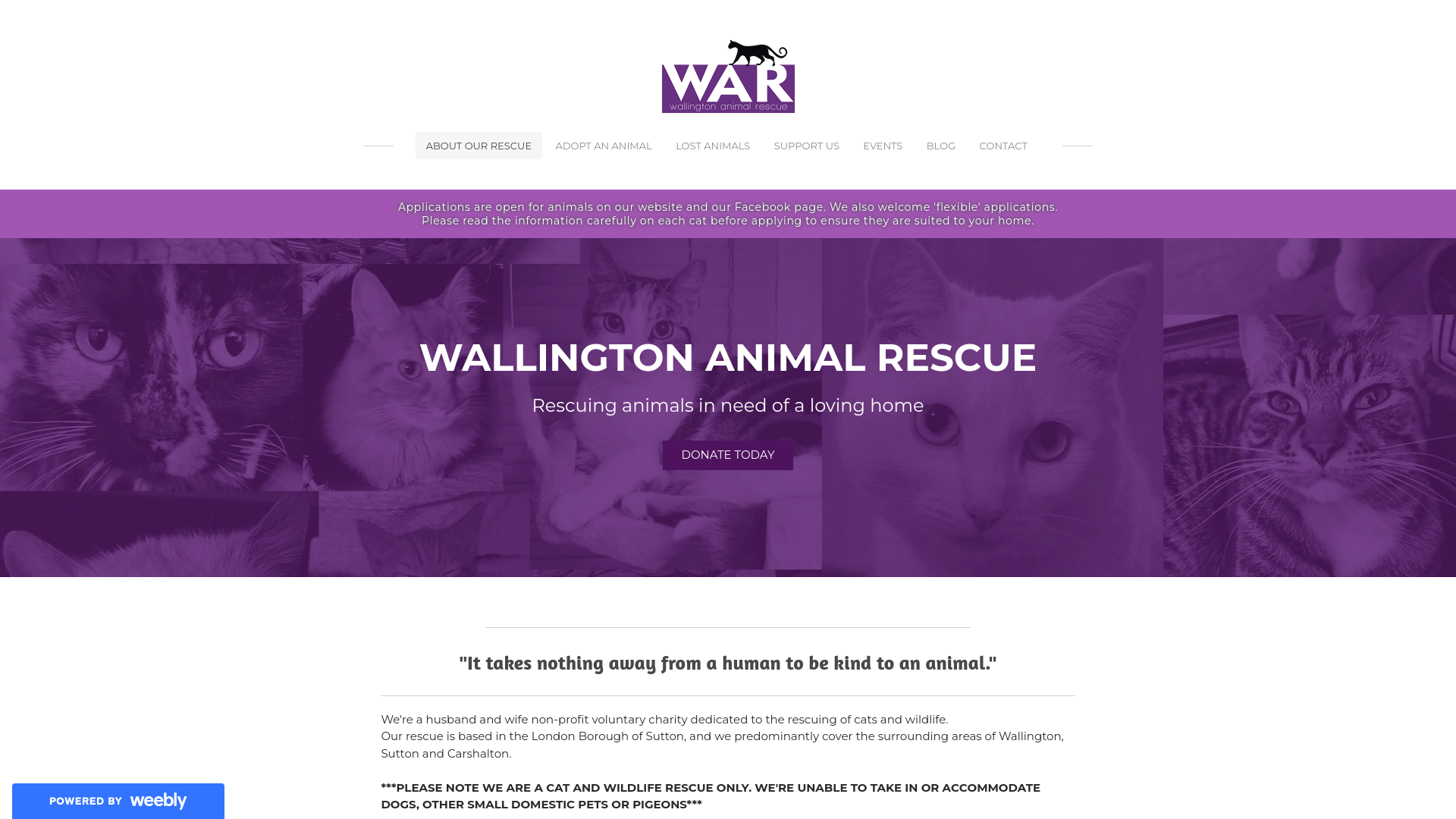 Website screenshot