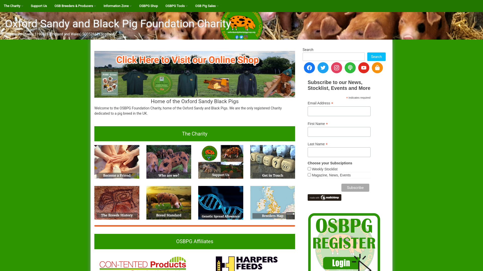 Website screenshot