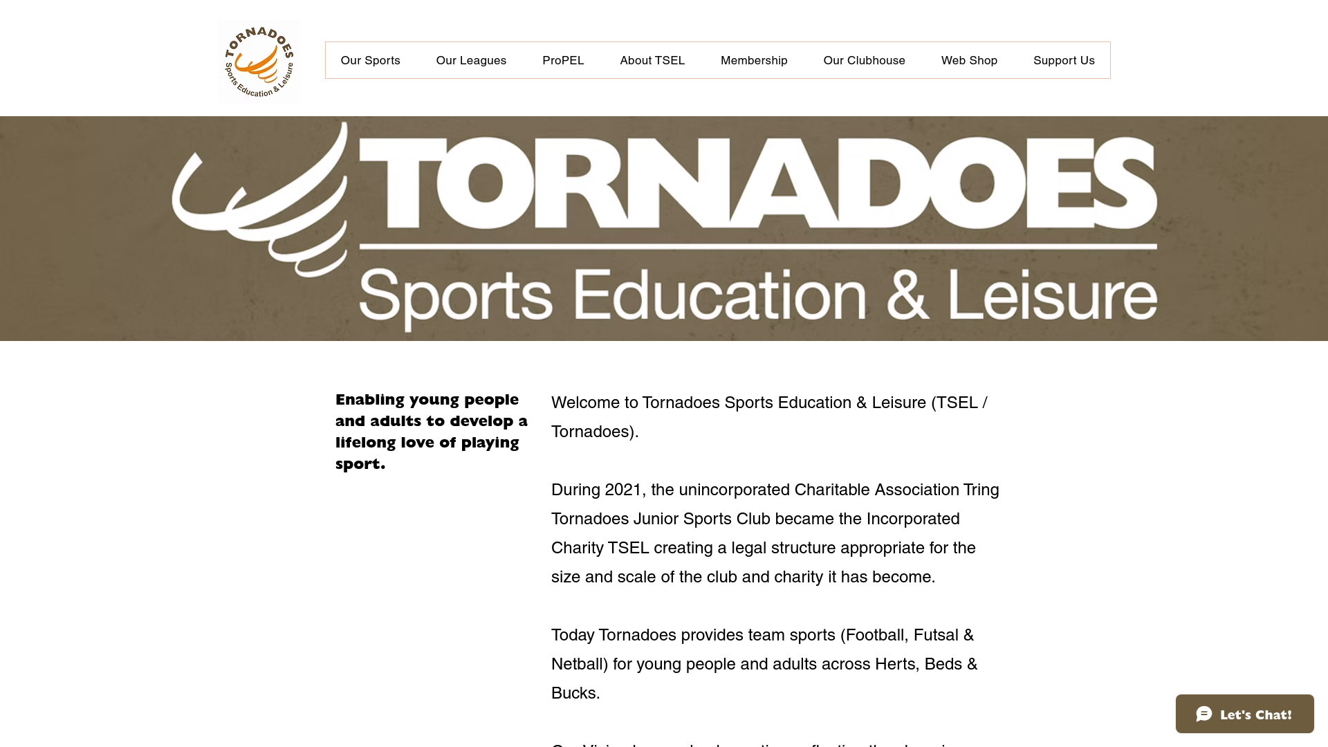 Website screenshot