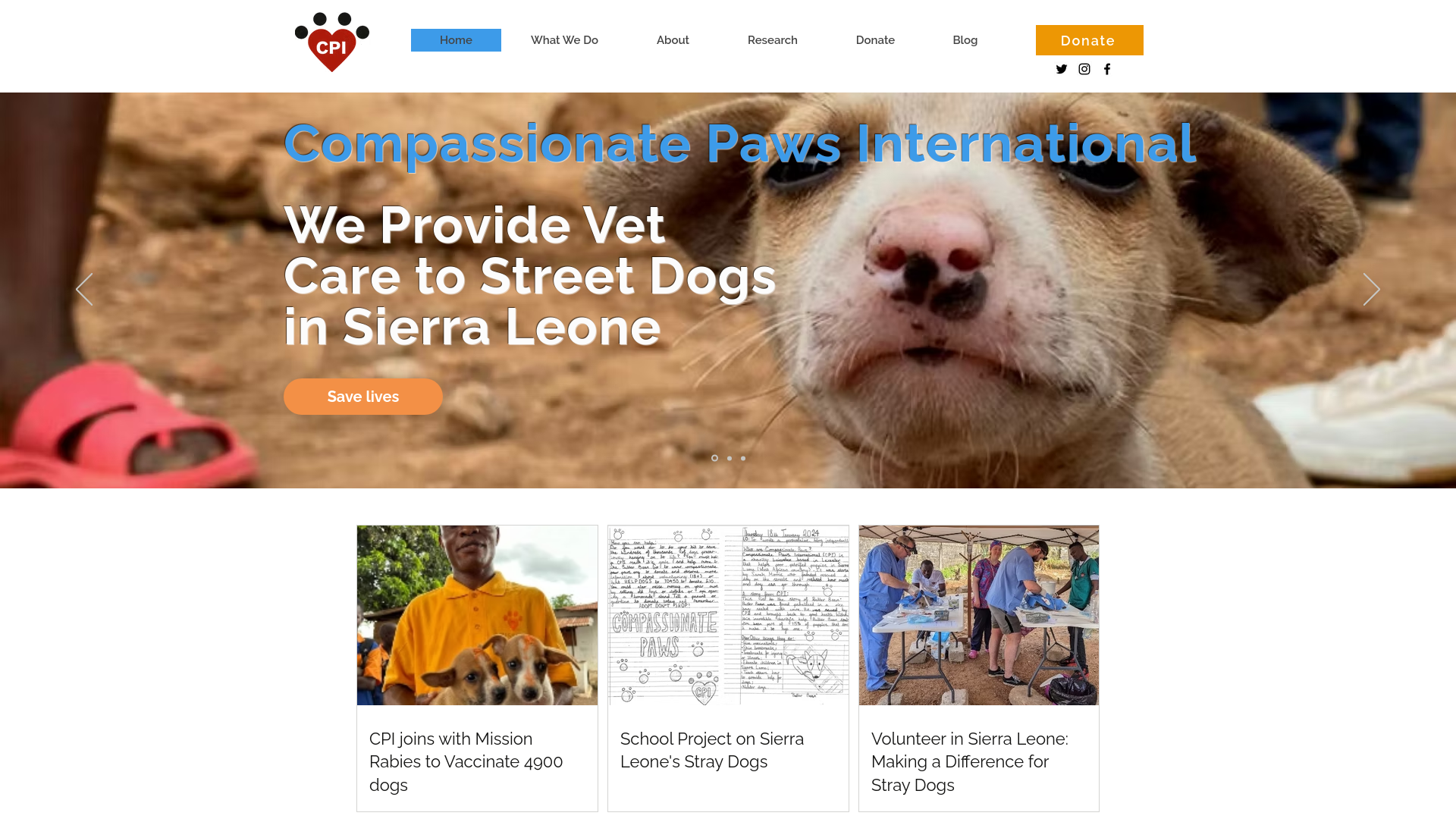Website screenshot