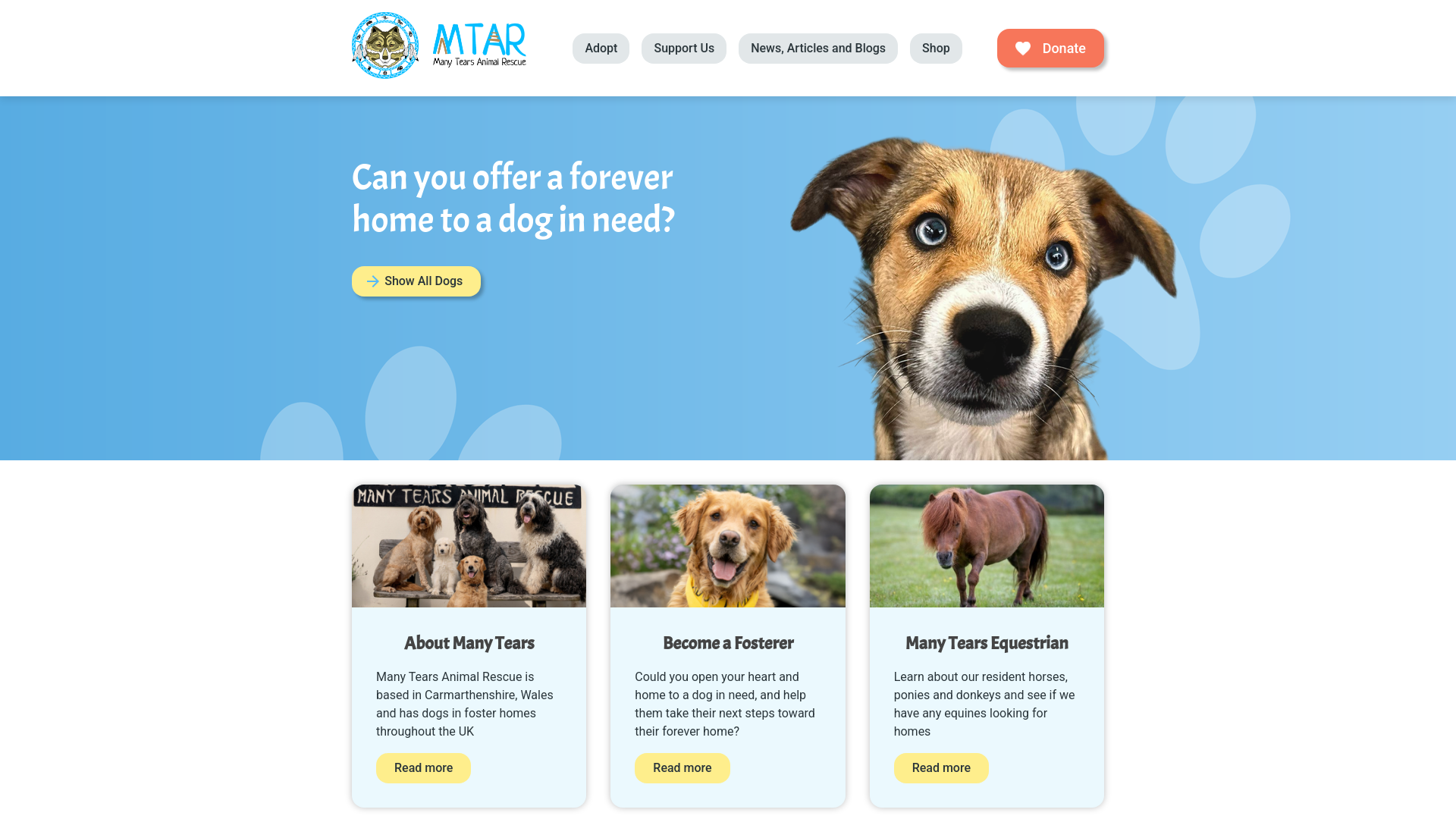Website screenshot