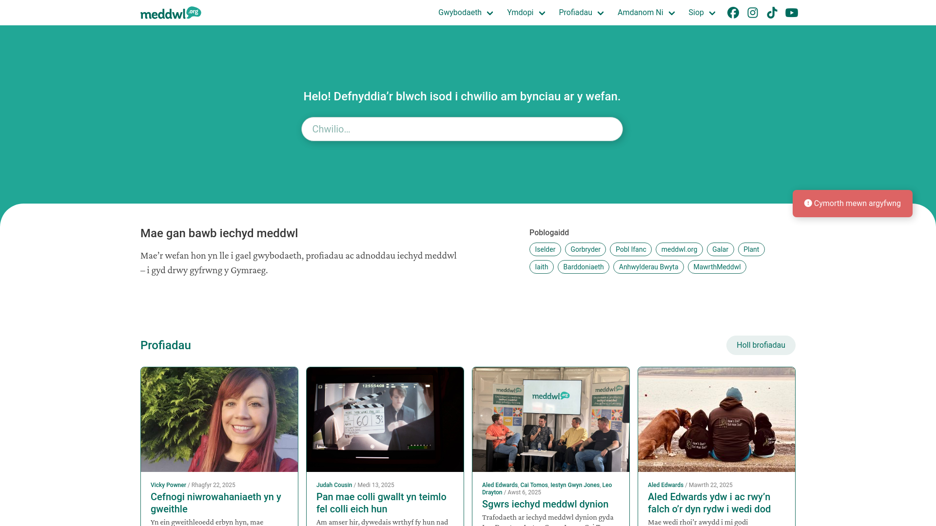 Website screenshot