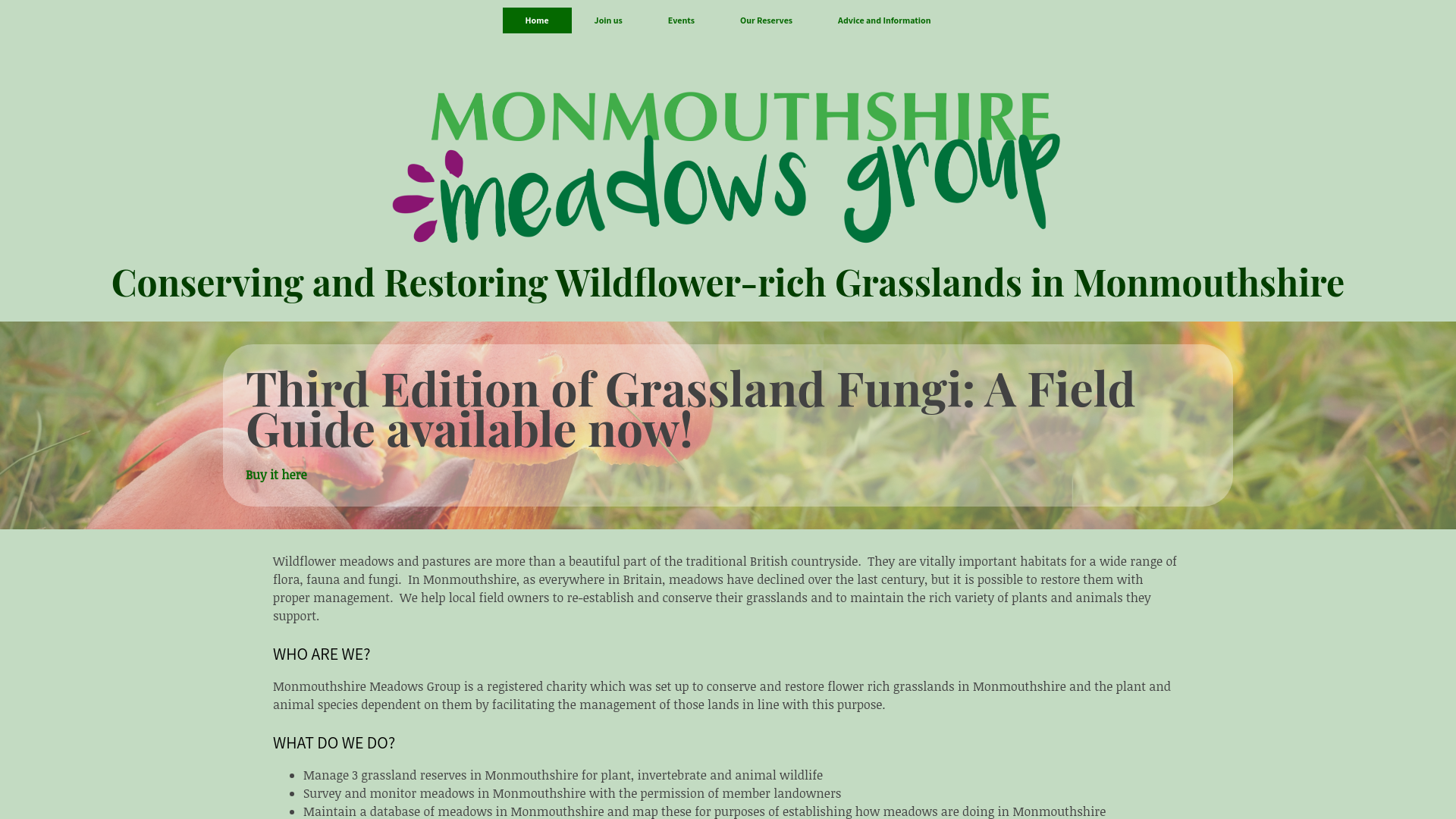 Website screenshot