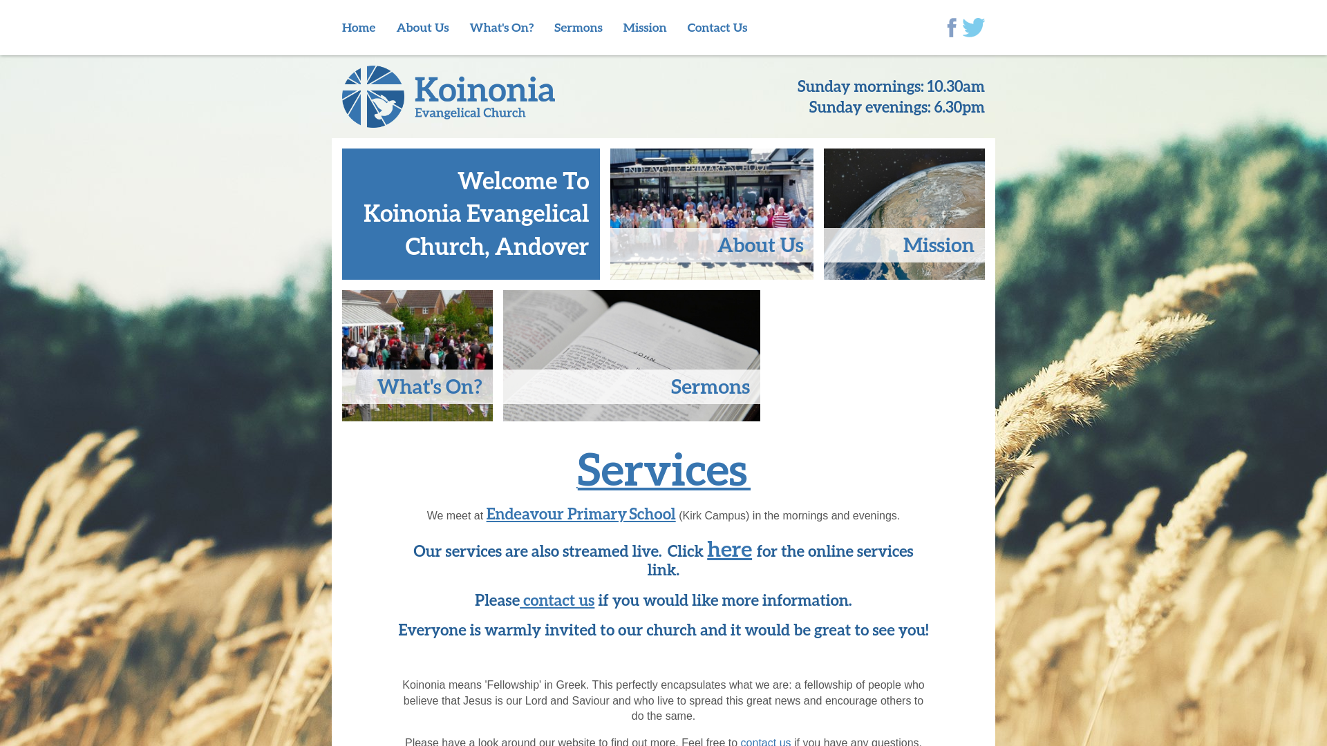 Website screenshot