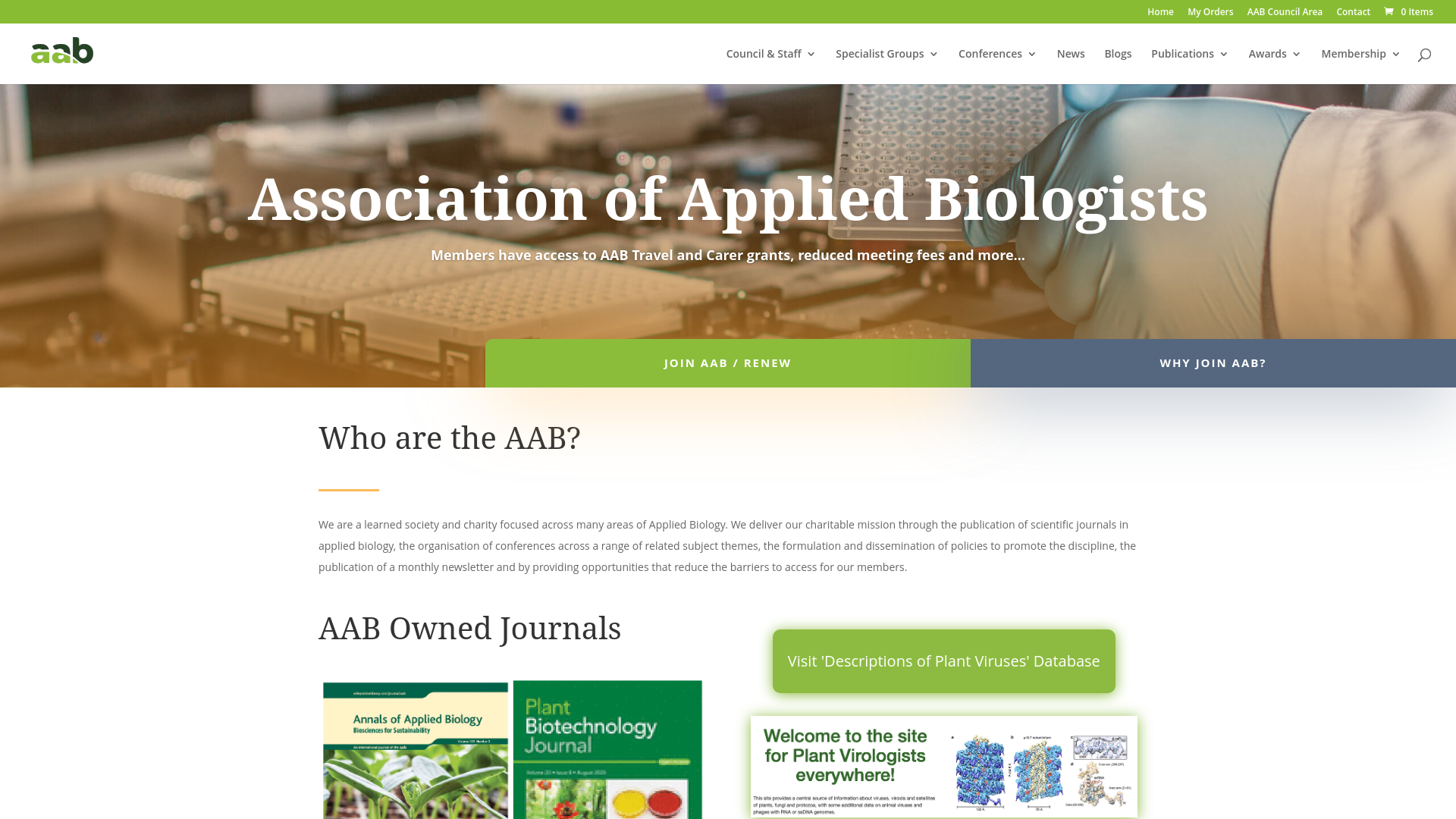 Website screenshot