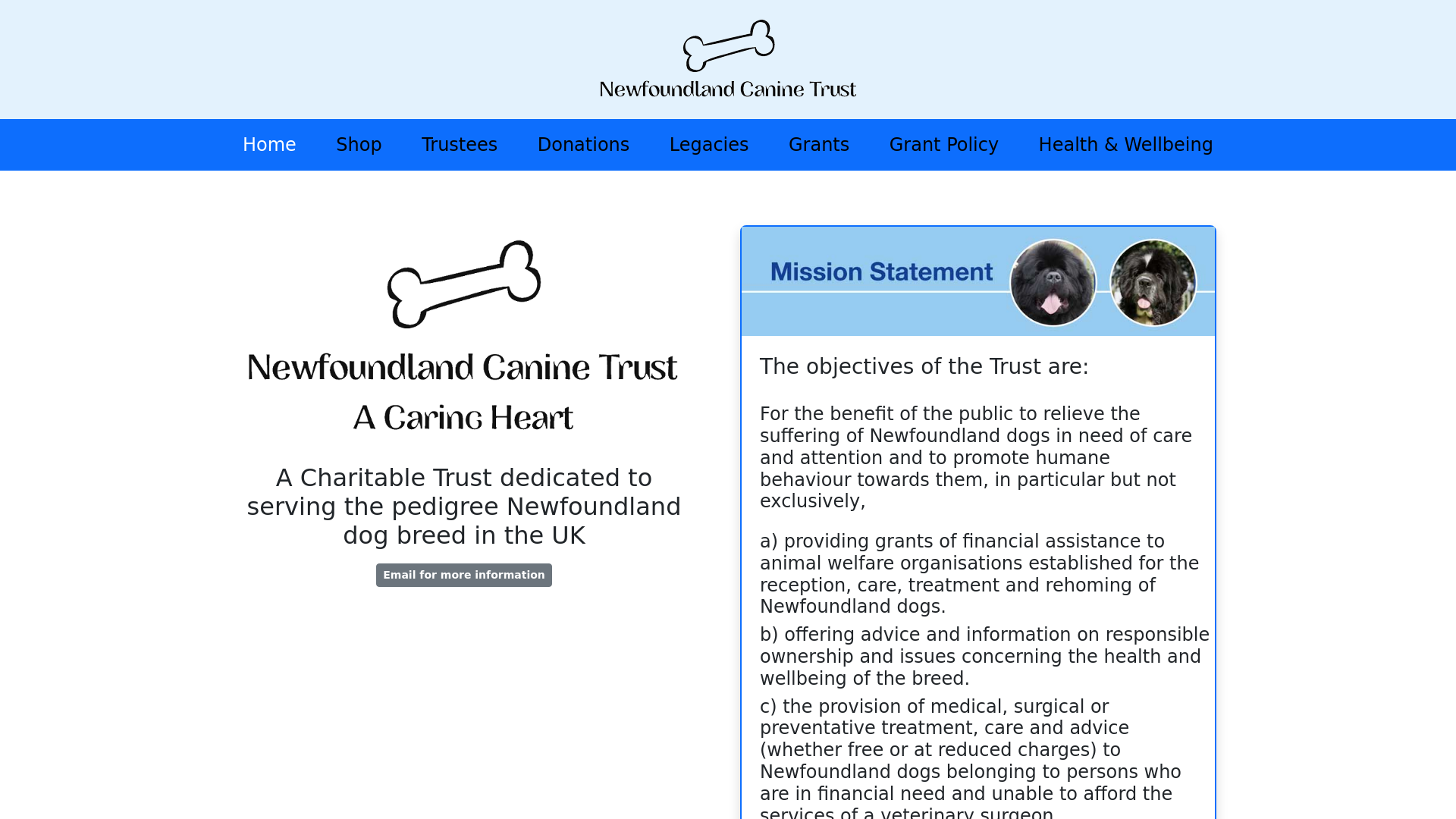 Website screenshot