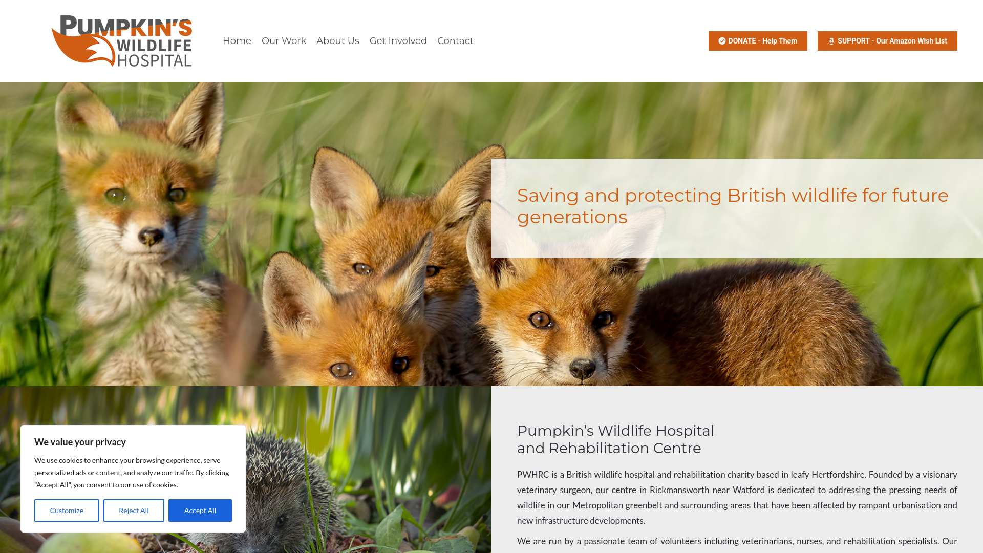 Website screenshot