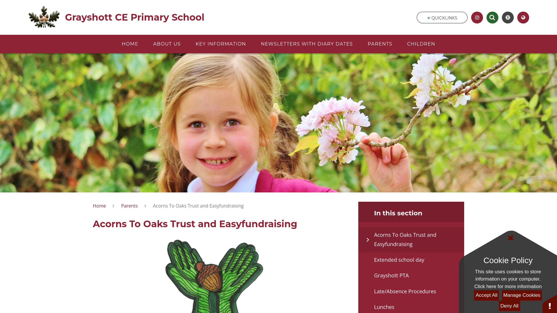 Website screenshot