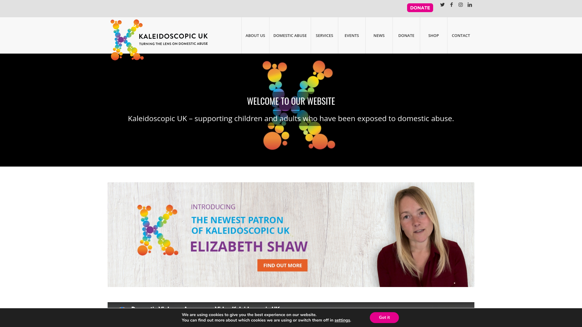 Website screenshot