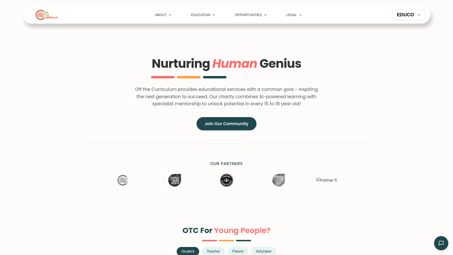 Website screenshot