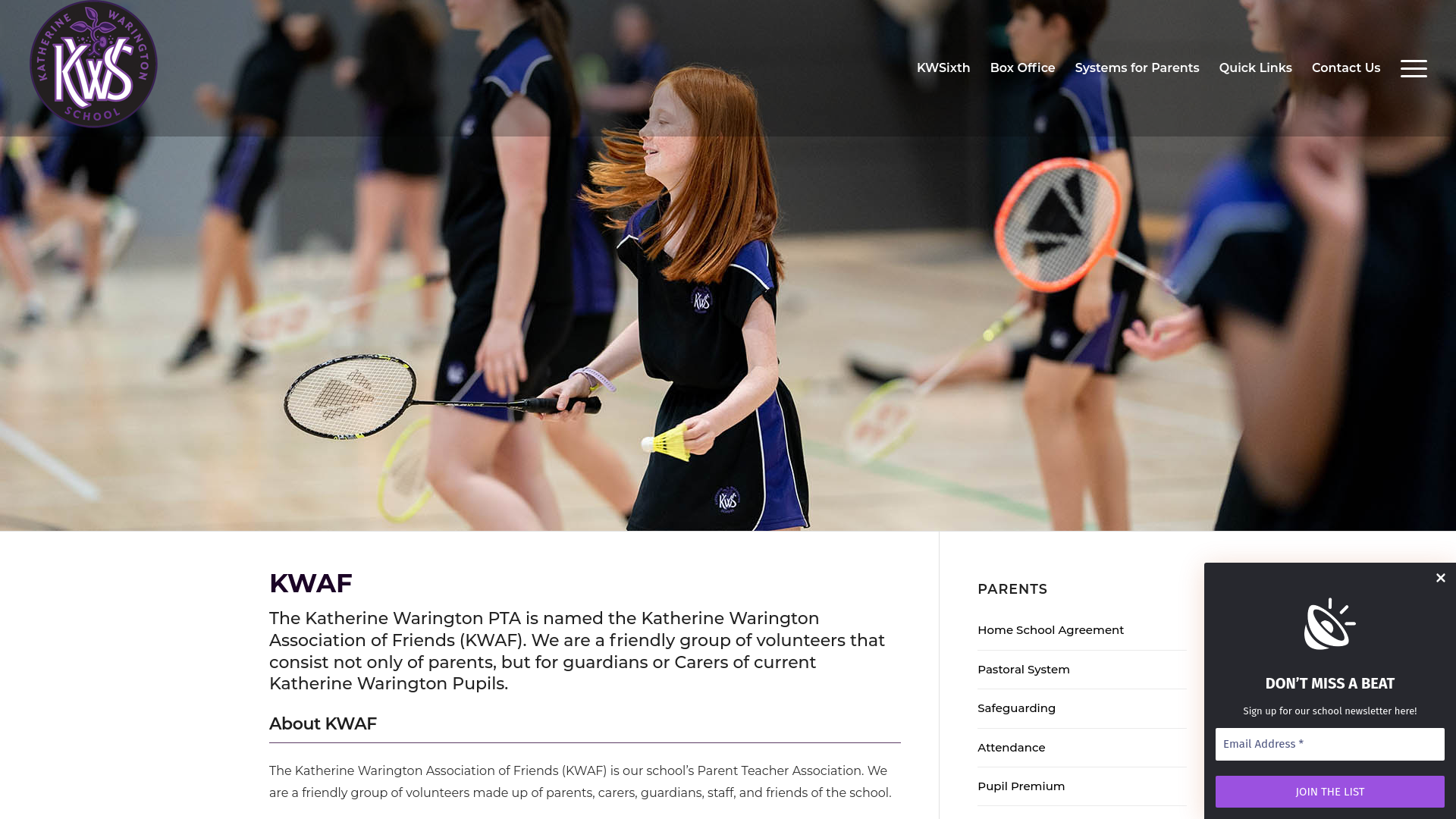 Website screenshot