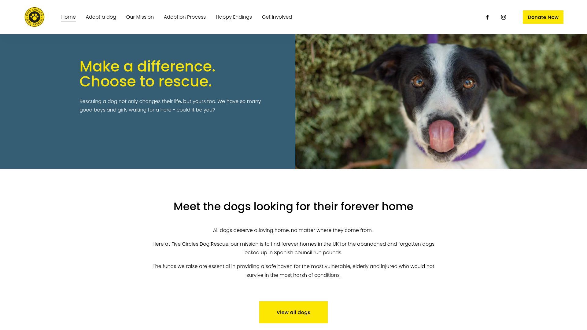 Website screenshot