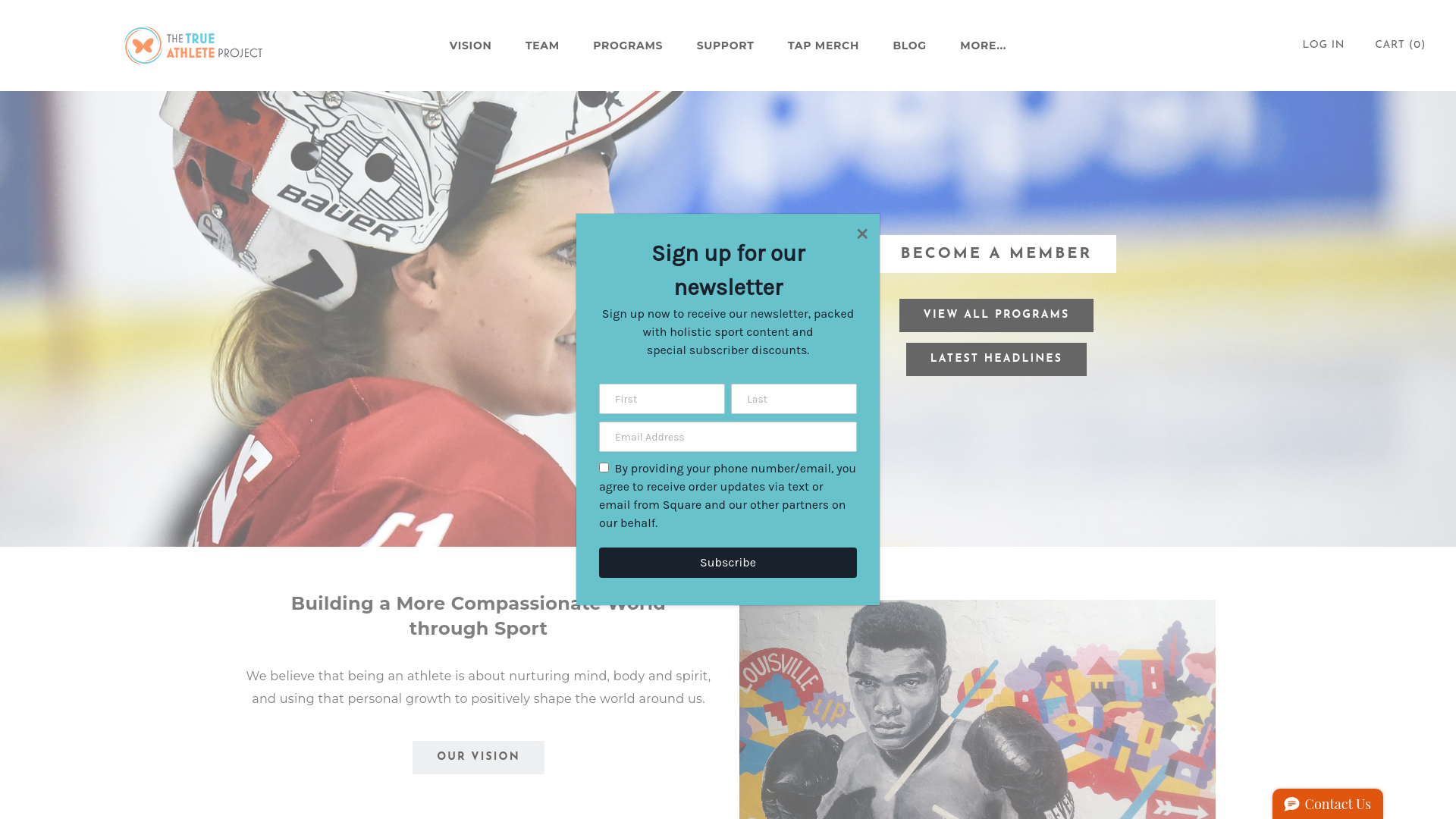 Website screenshot