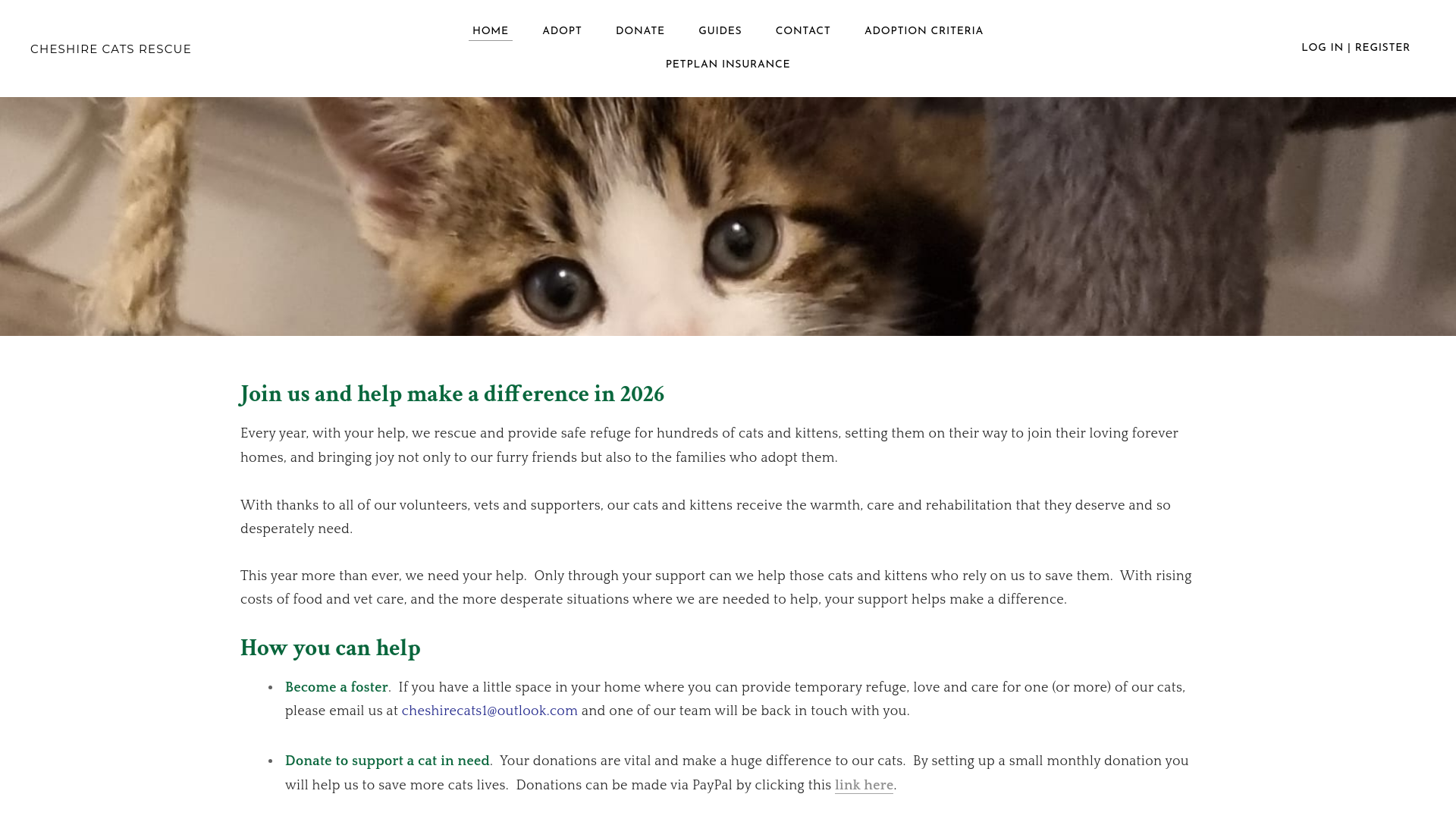 Website screenshot