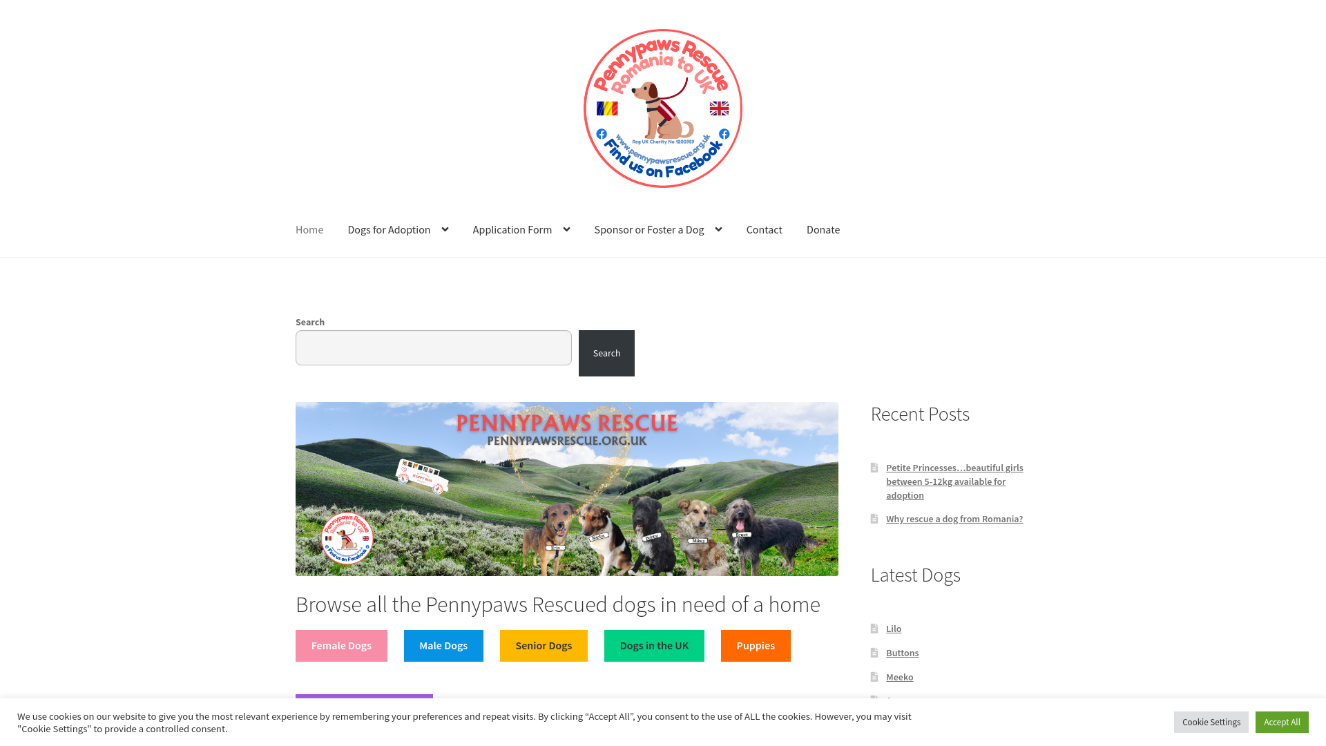 Website screenshot