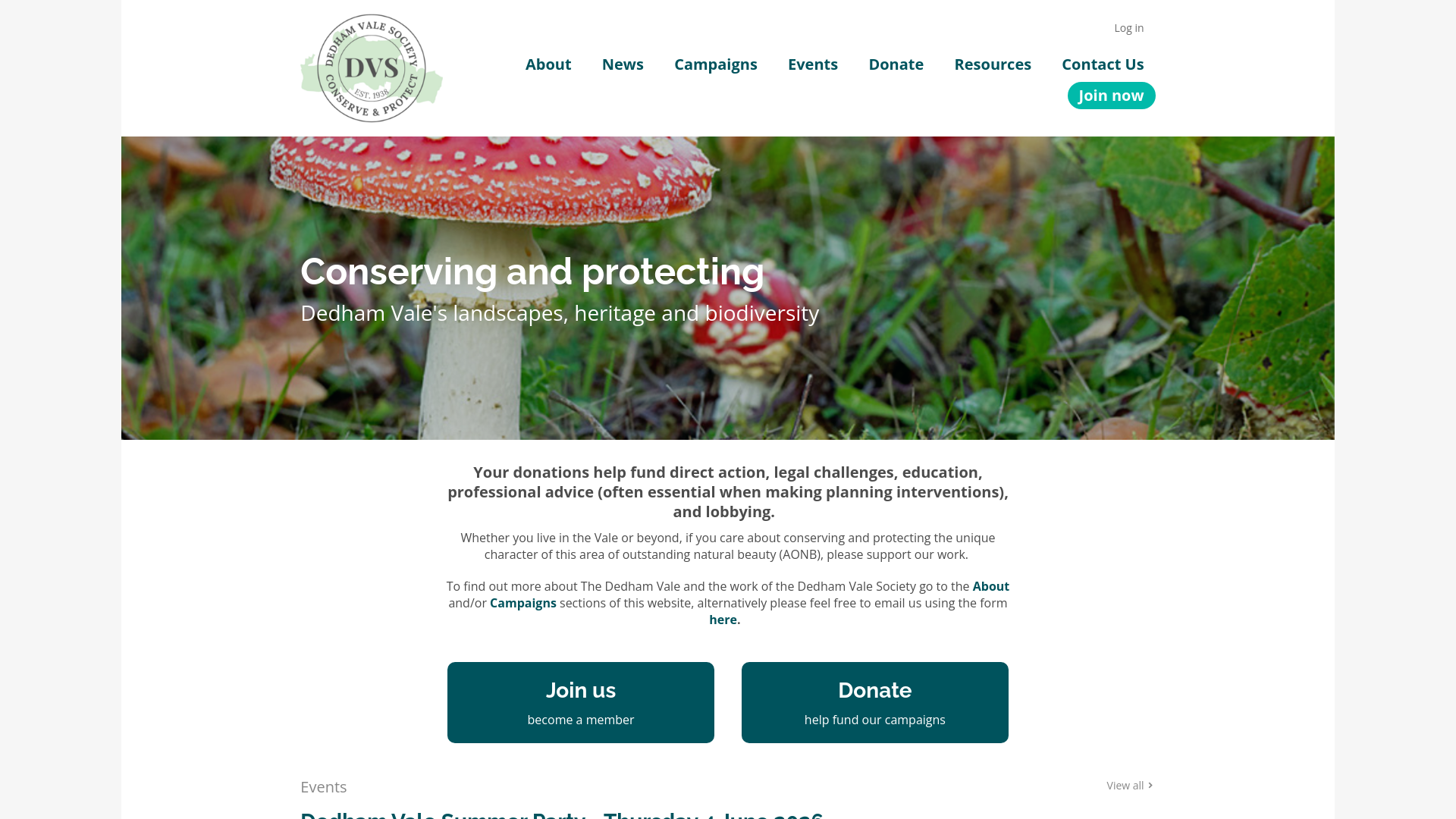 Website screenshot