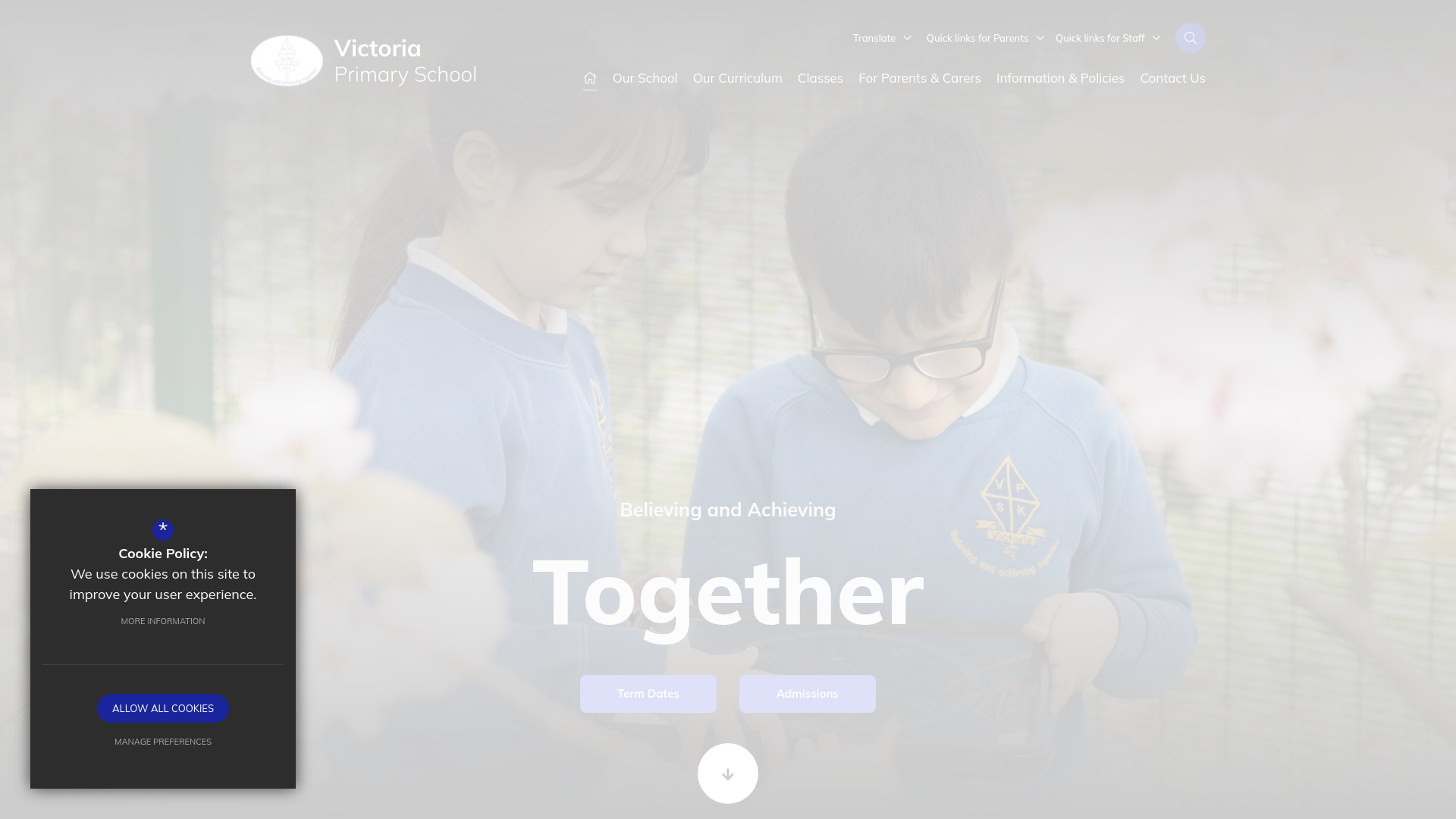 Website screenshot