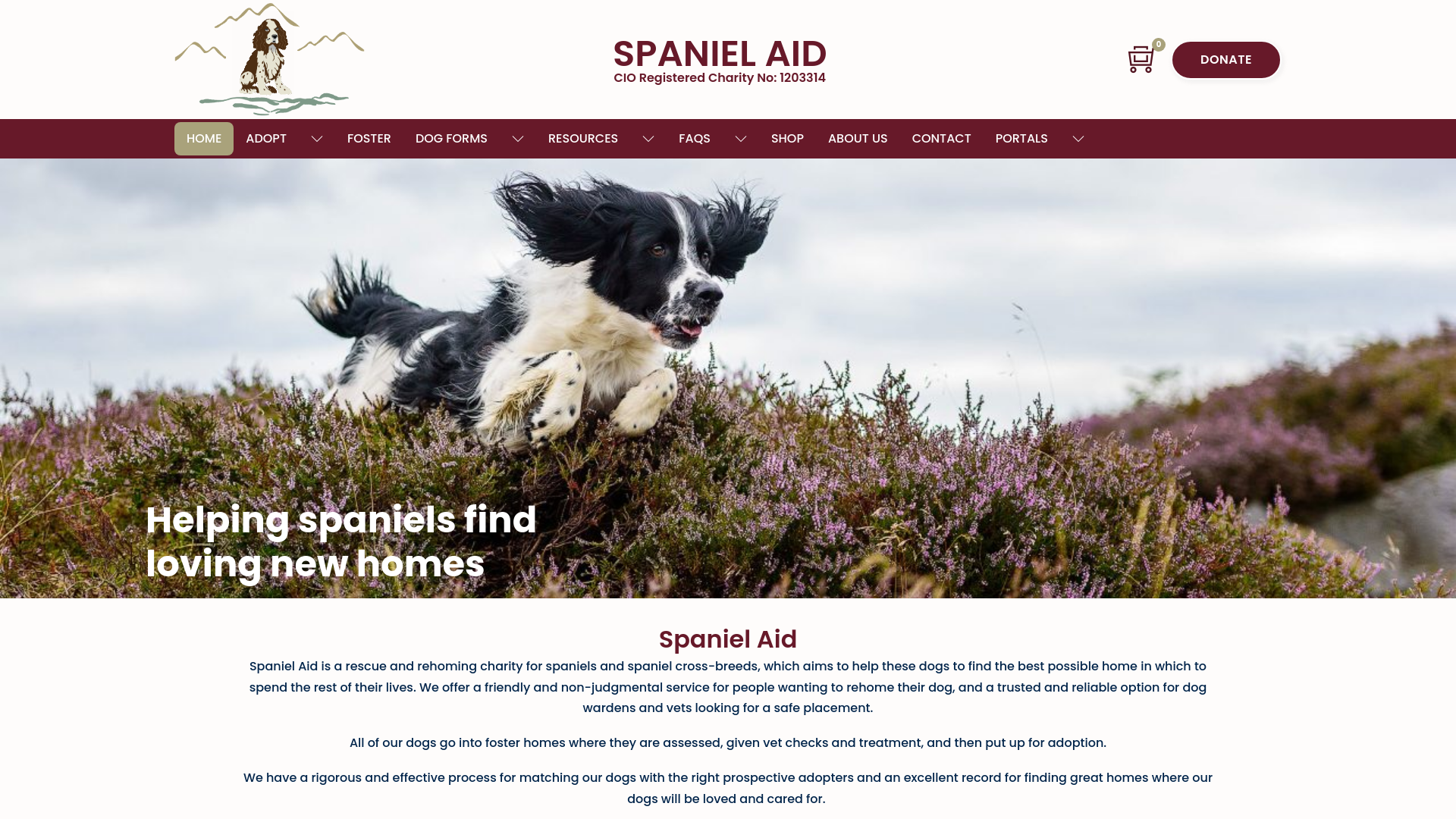 Website screenshot