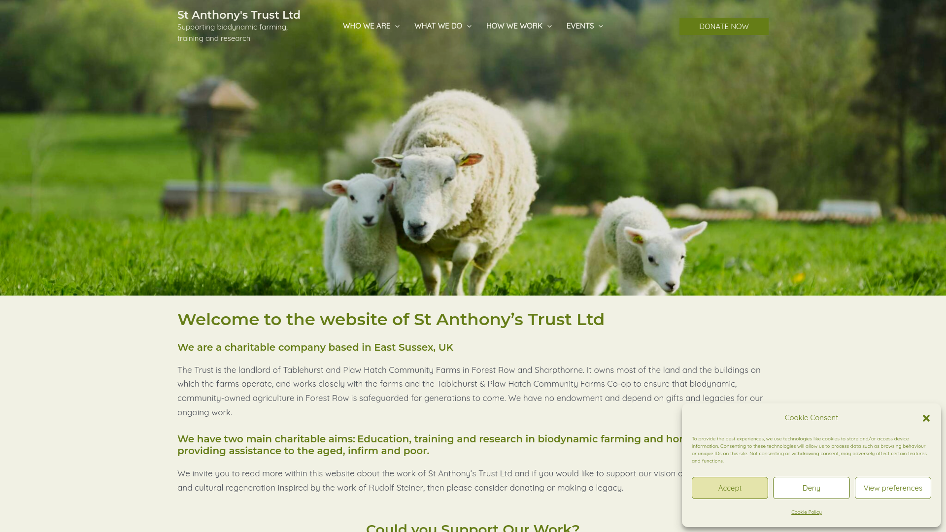 Website screenshot