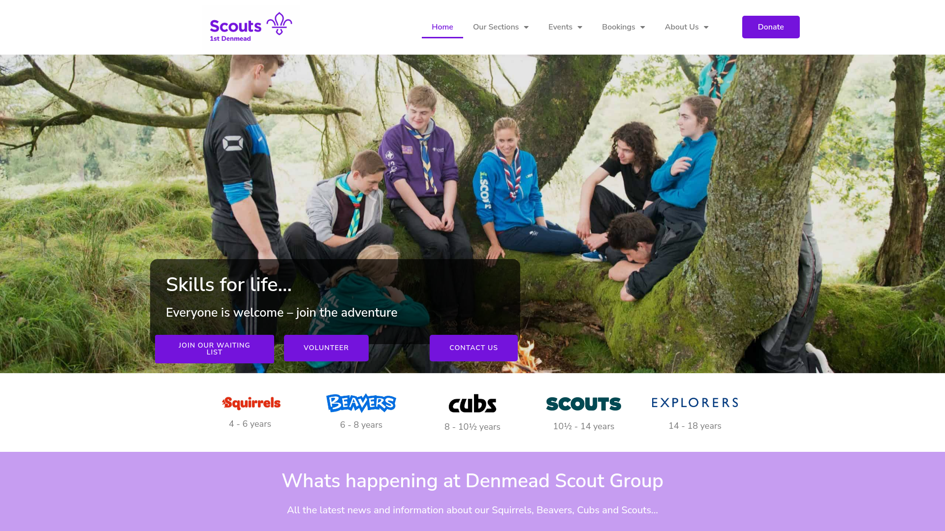 Website screenshot