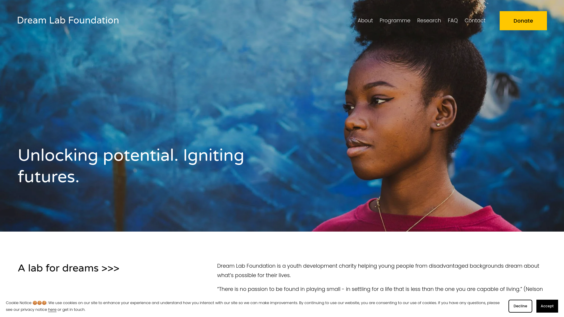 Website screenshot