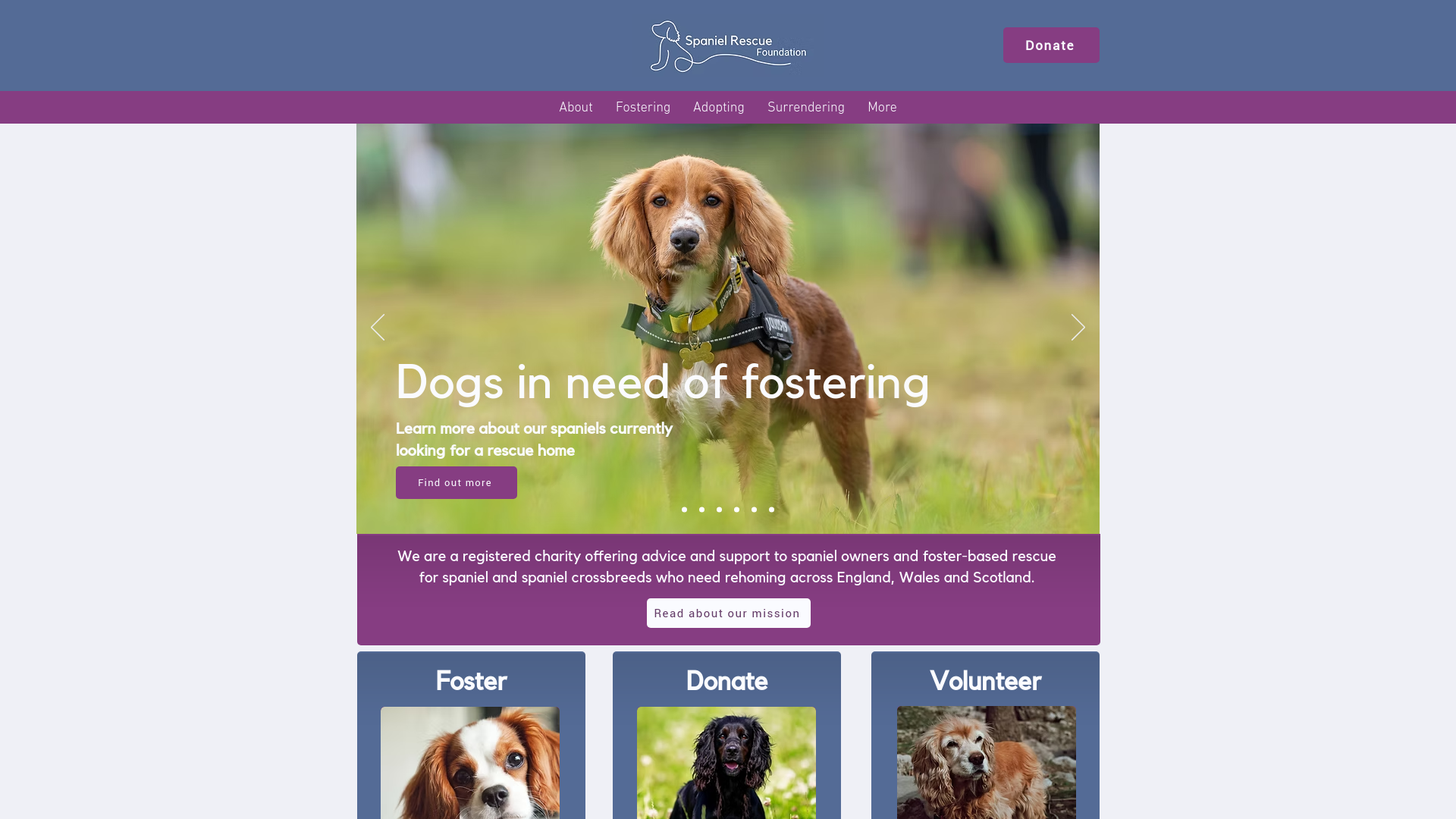 Website screenshot