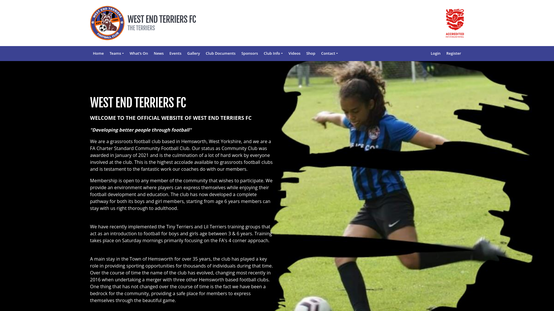 Website screenshot