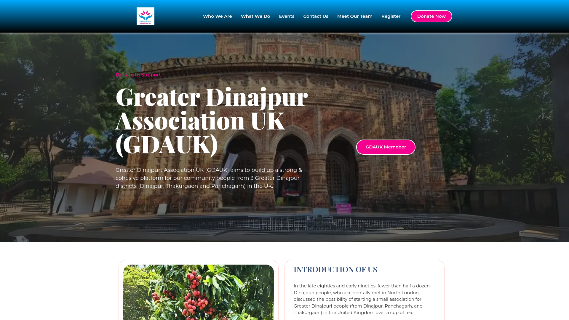 Website screenshot
