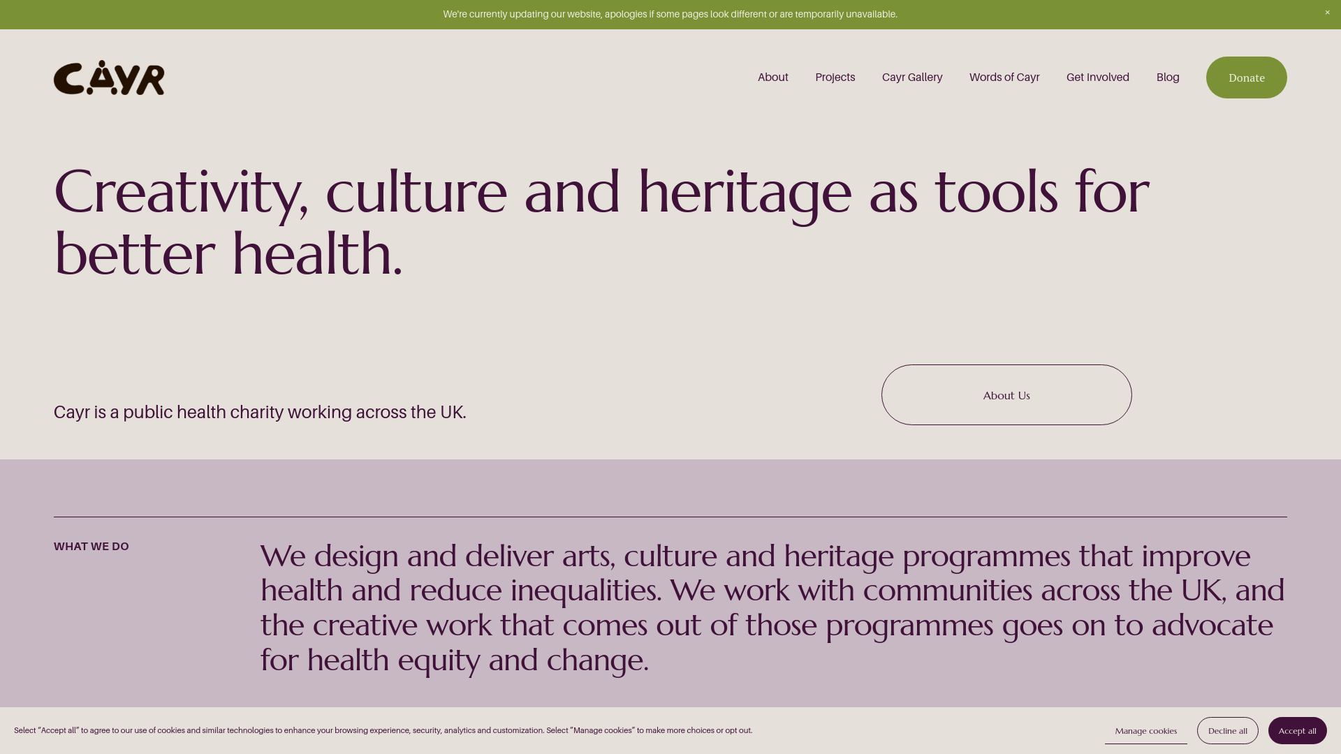 Website screenshot