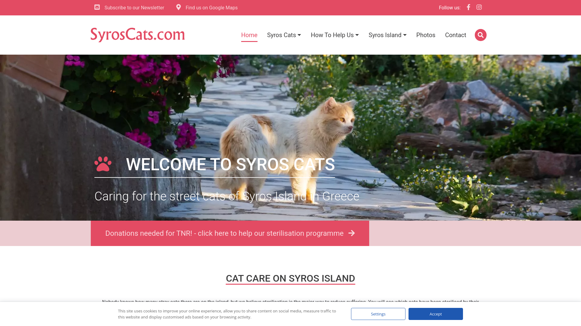 Website screenshot