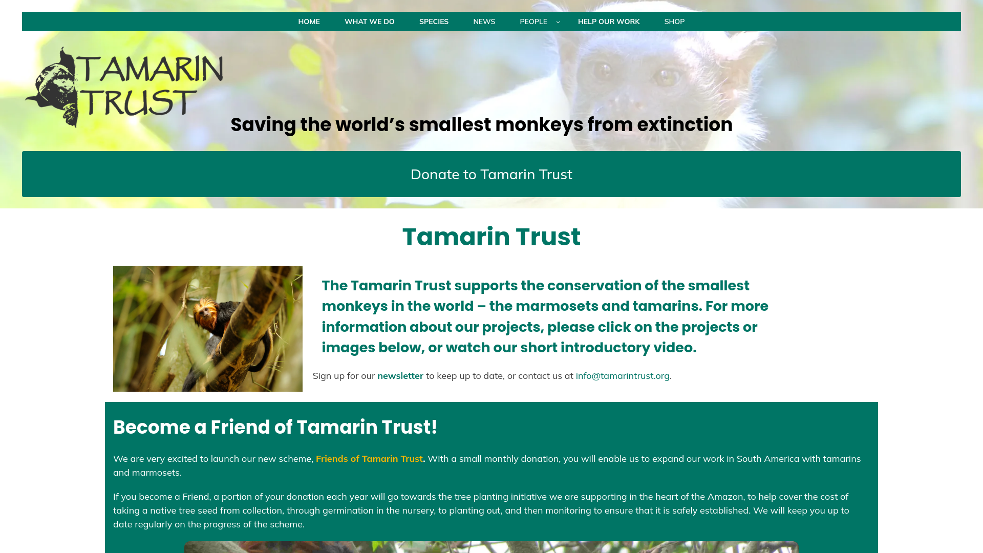 Website screenshot