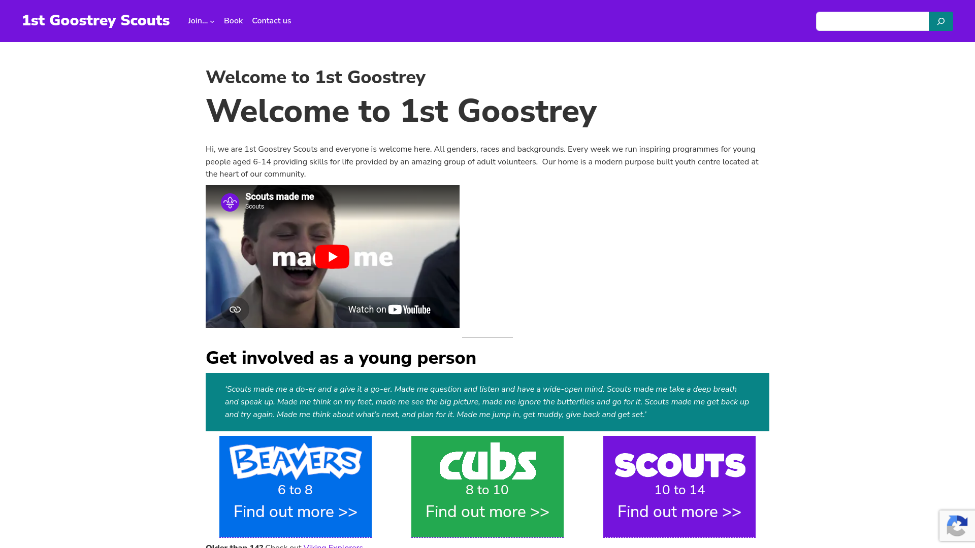 Website screenshot