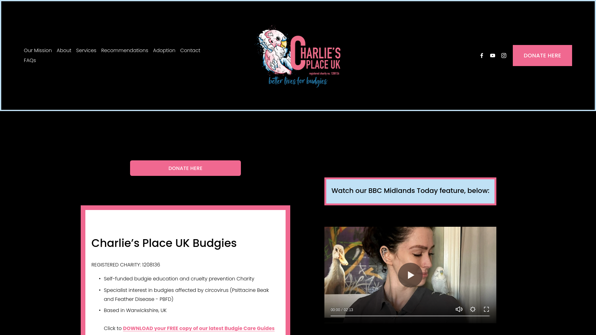 Website screenshot
