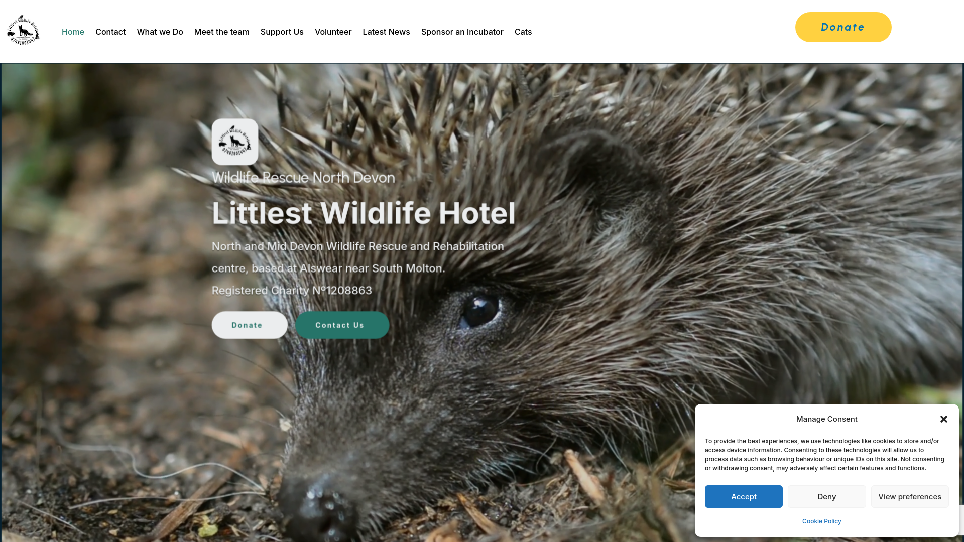 Website screenshot