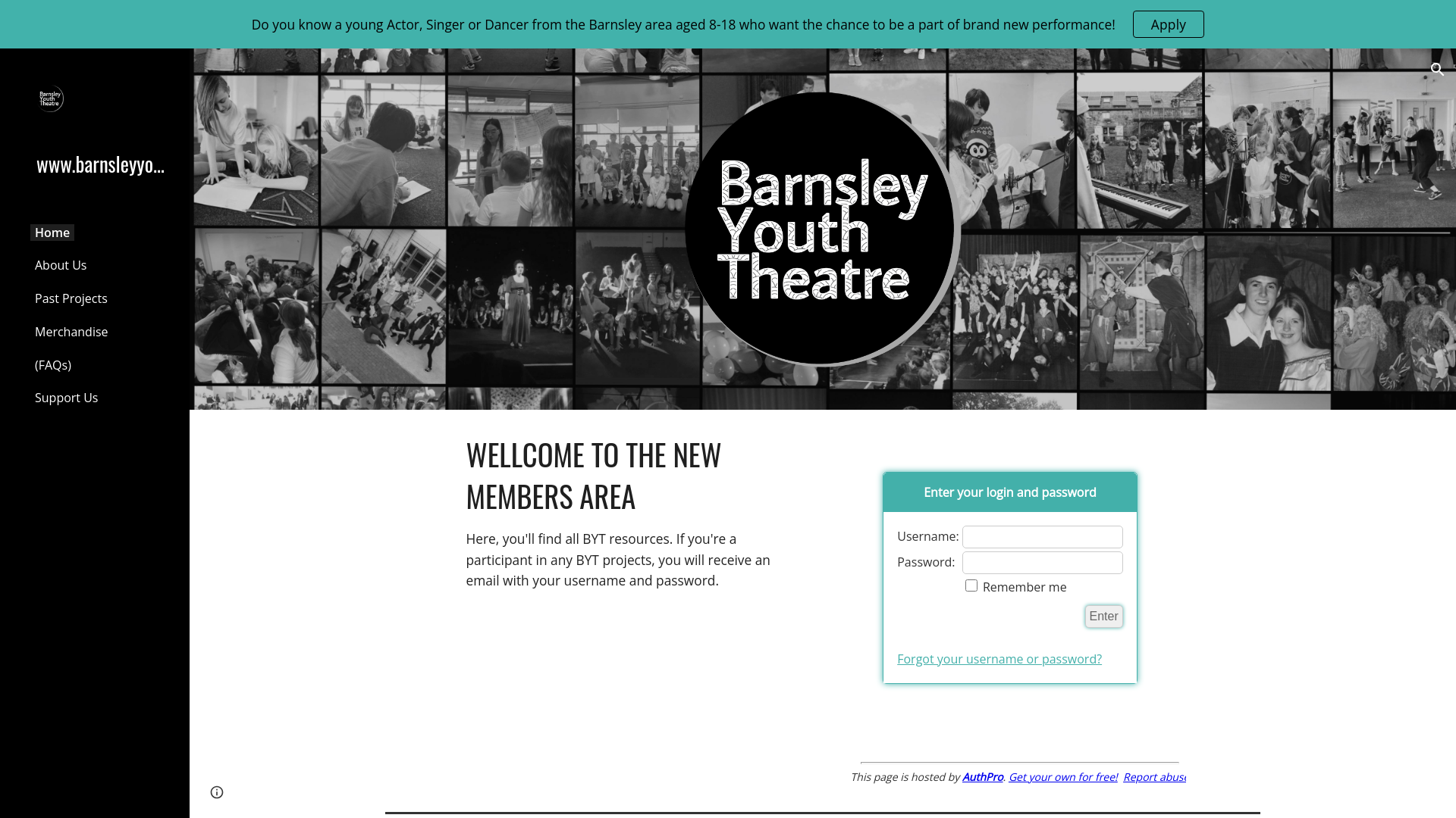 Website screenshot