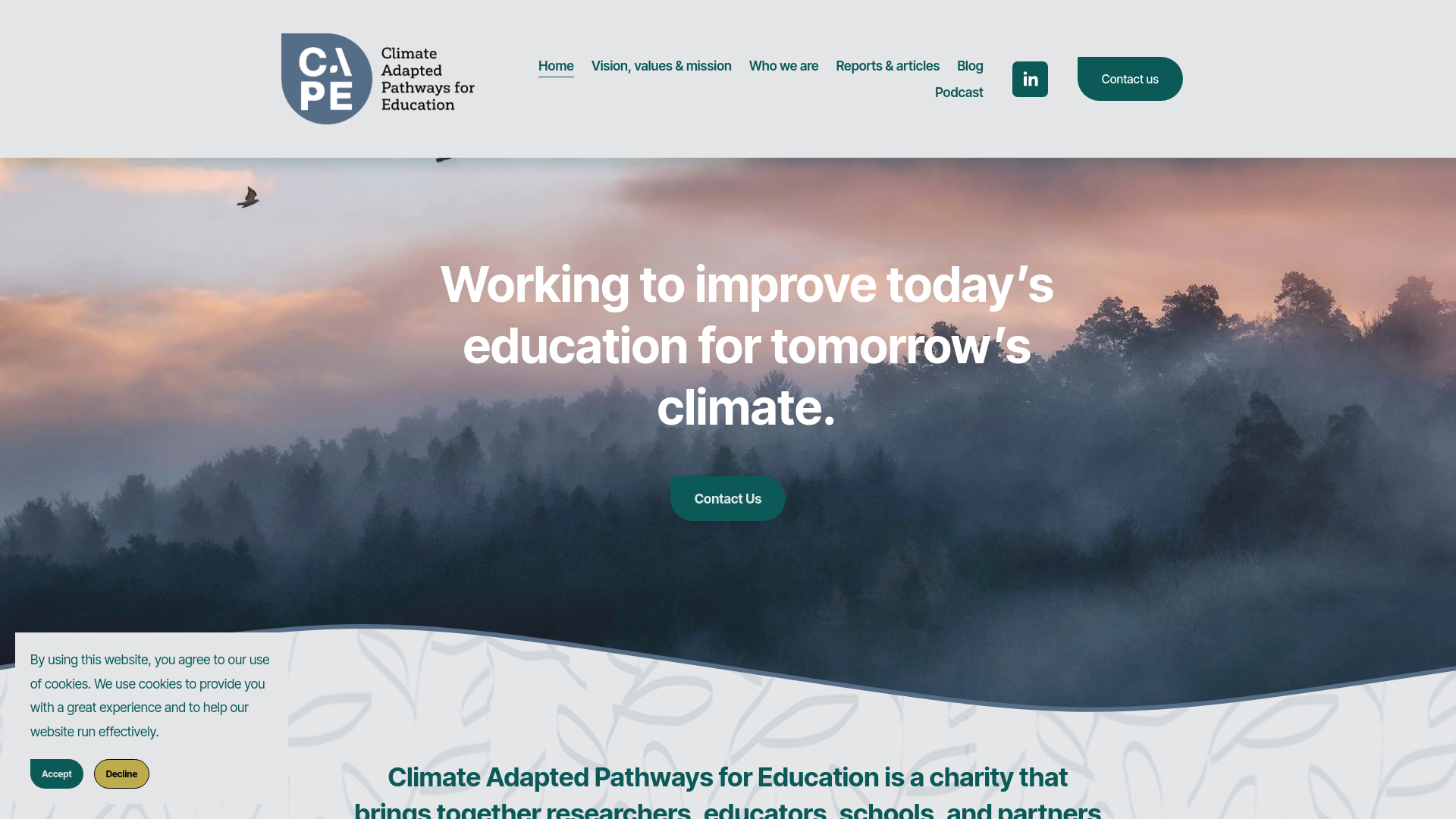 Website screenshot