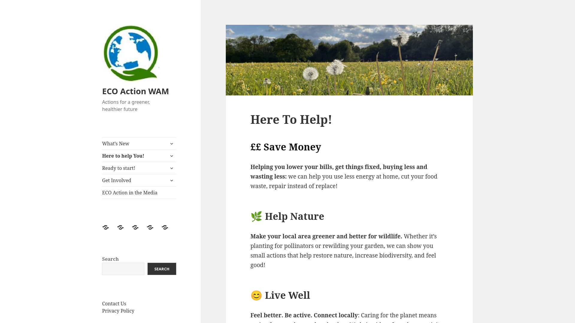 Website screenshot