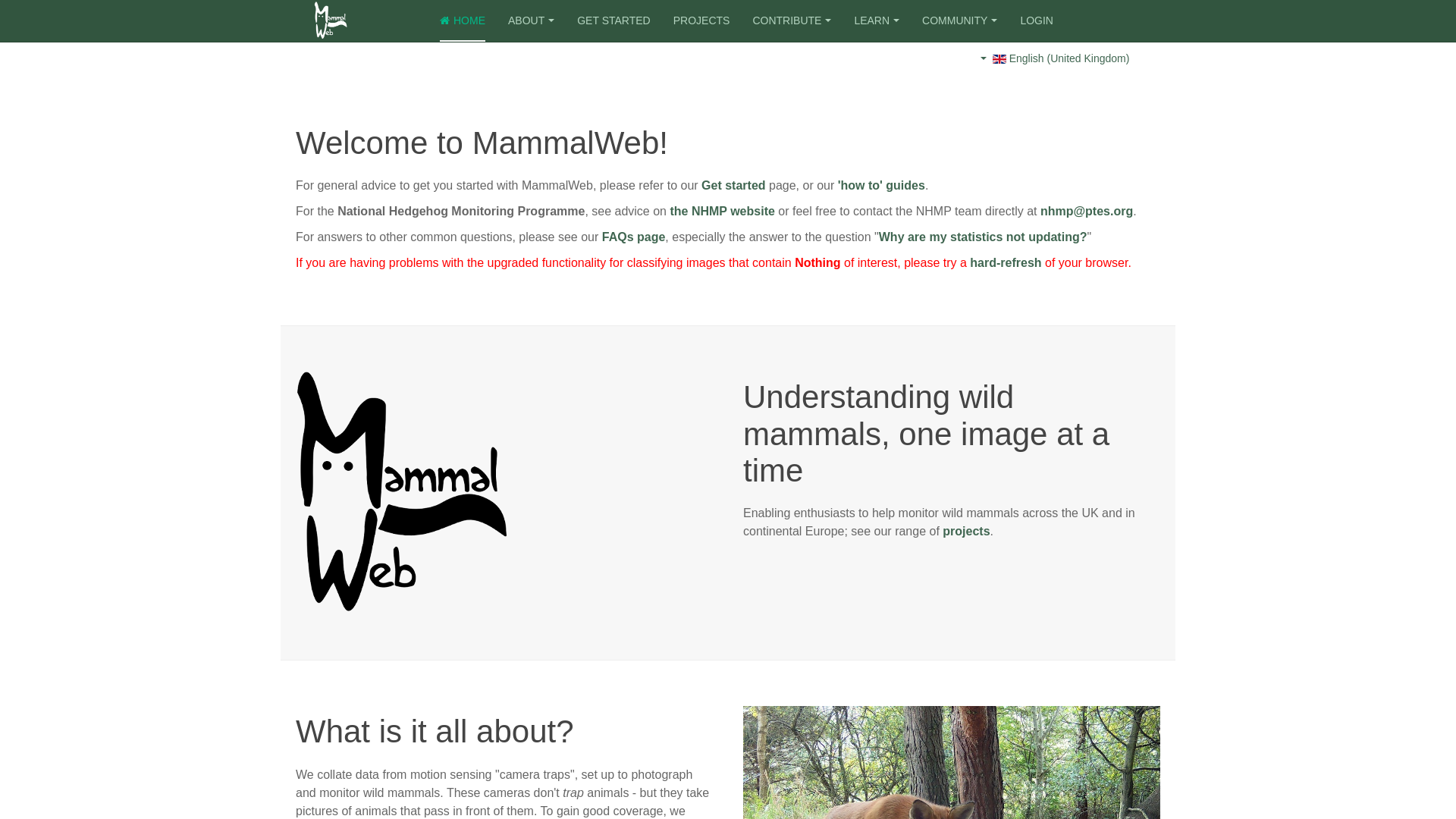 Website screenshot