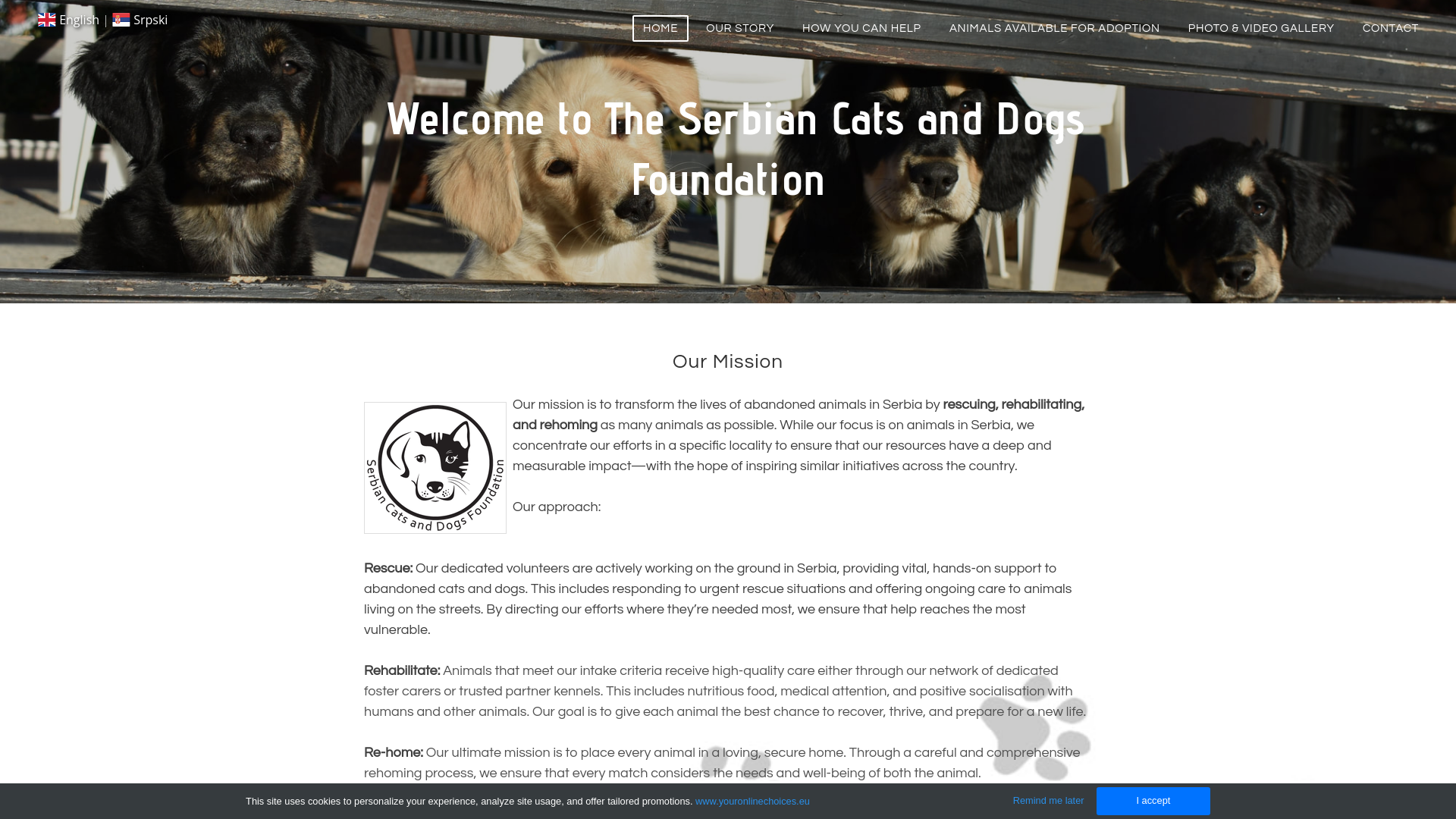 Website screenshot
