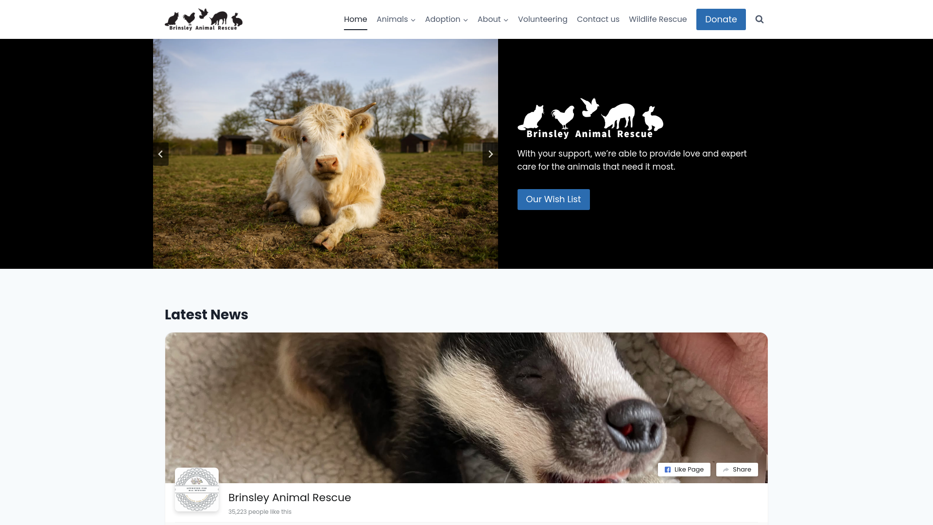 Website screenshot