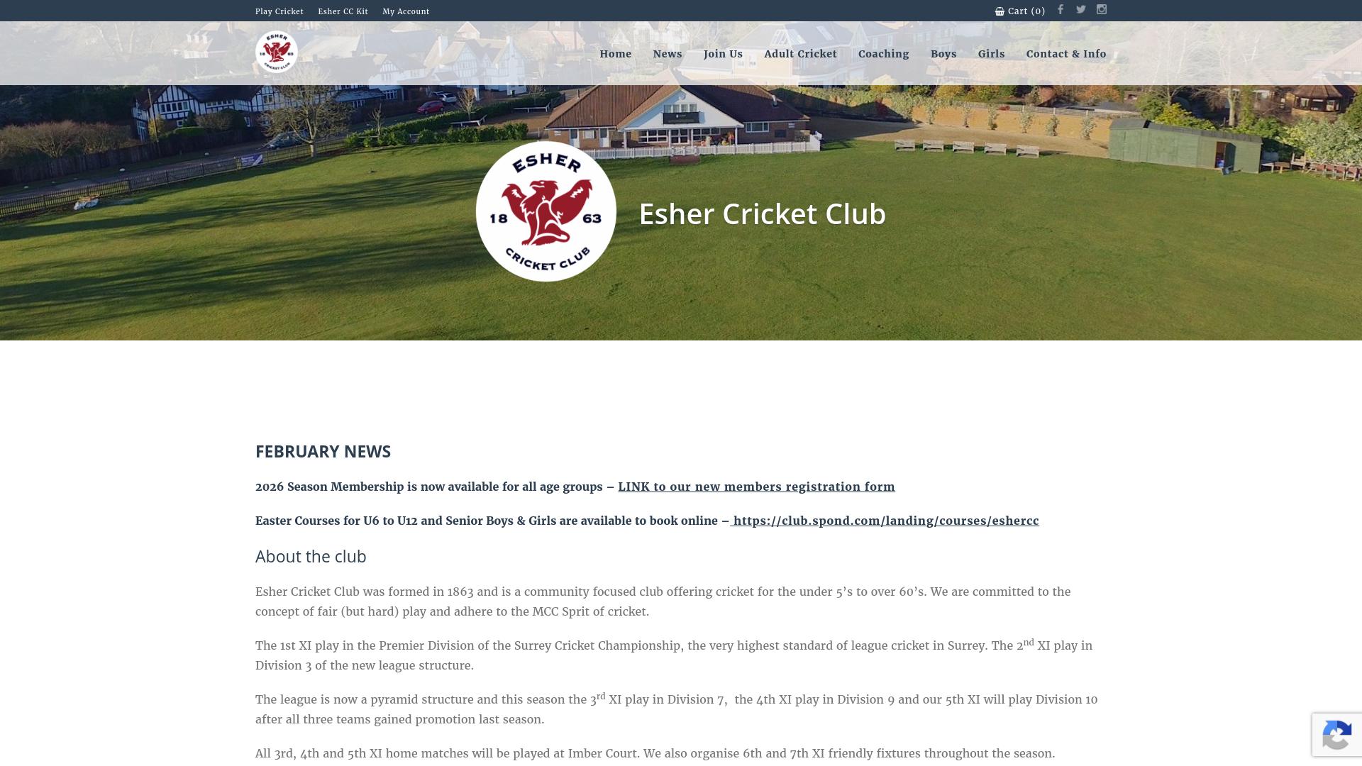 Website screenshot