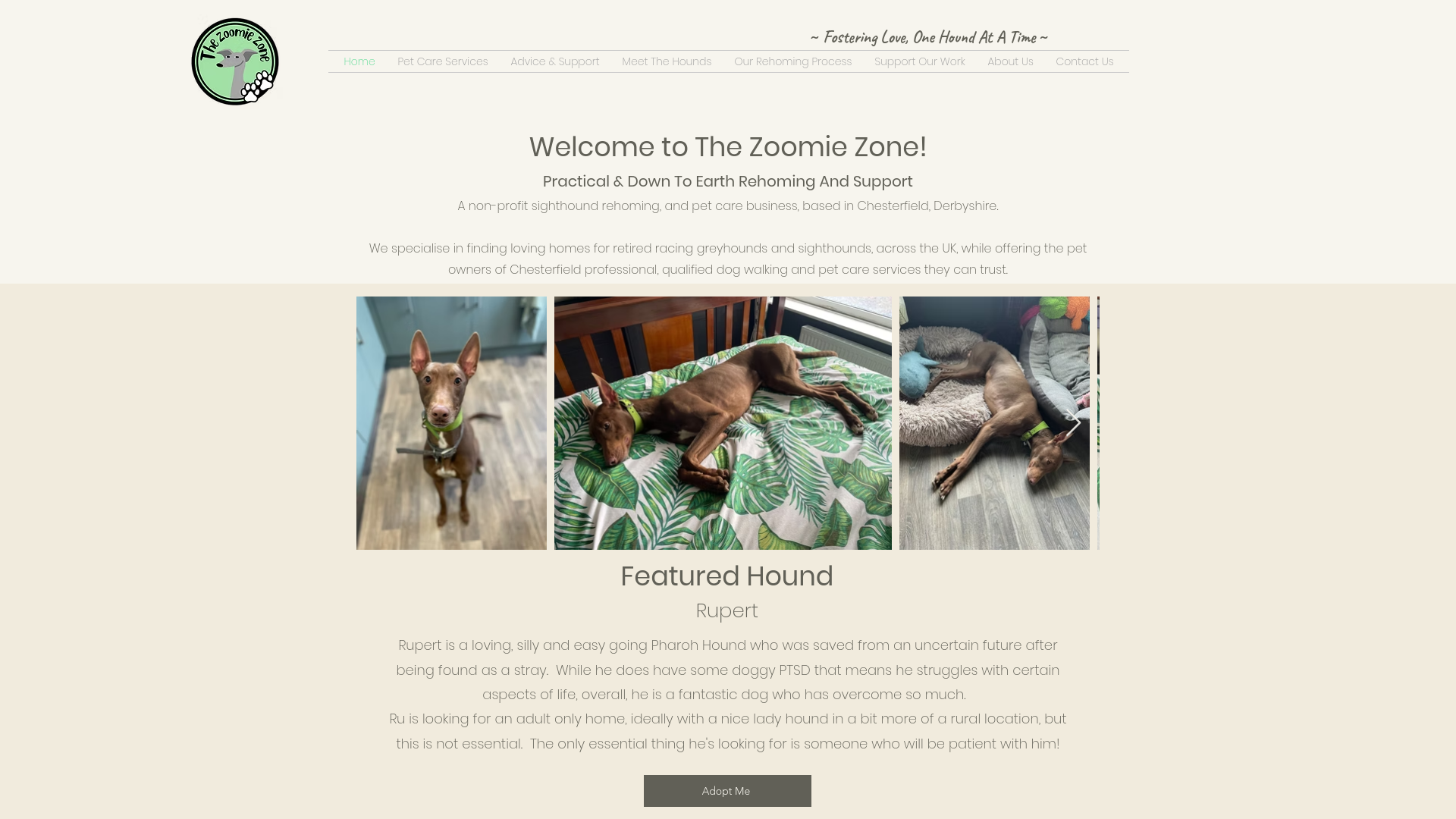 Website screenshot