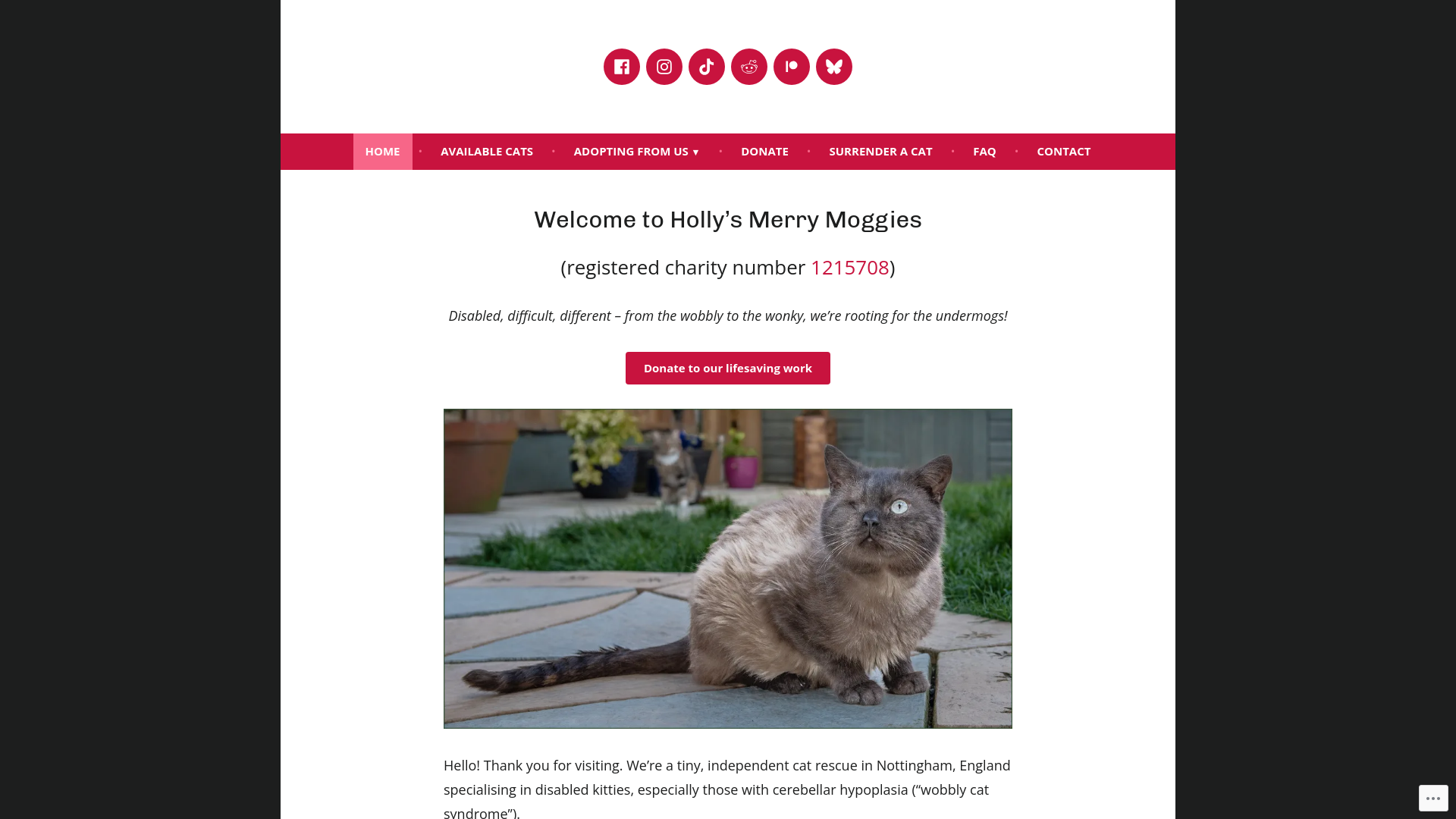 Website screenshot