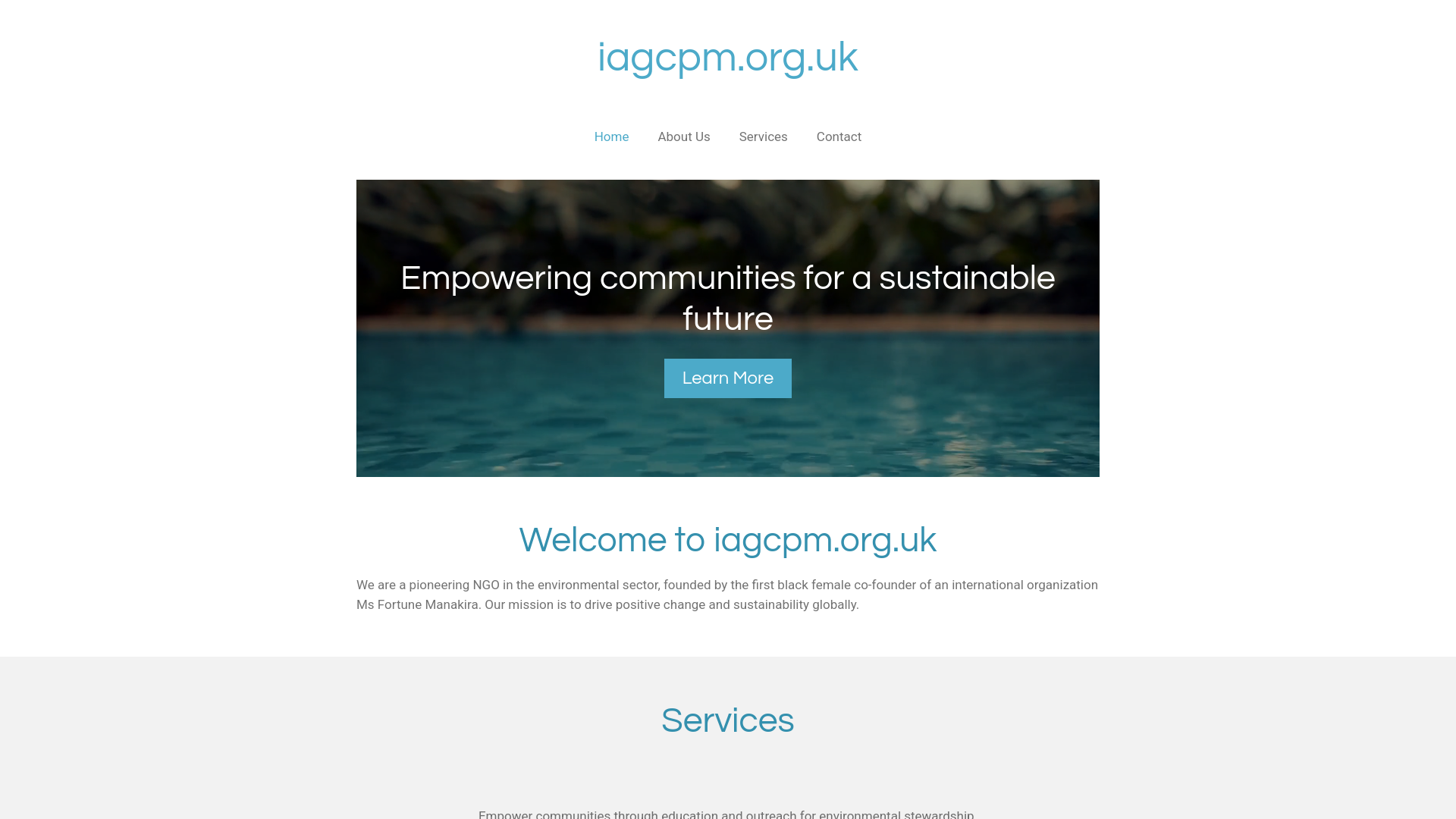 Website screenshot